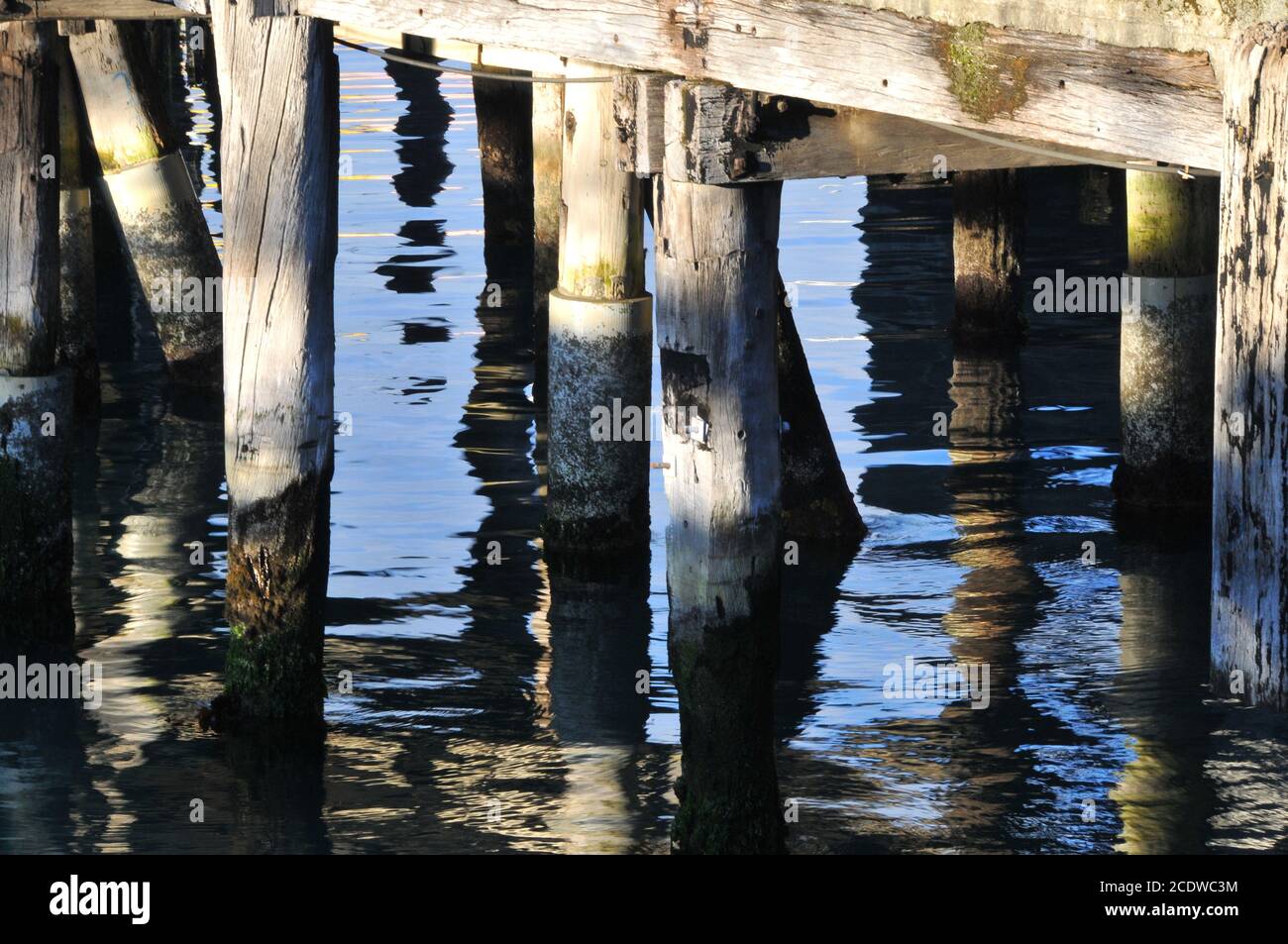 Réflexions sur l'eau au quai du traversier Interisander, Nouvelle-Zélande Banque D'Images