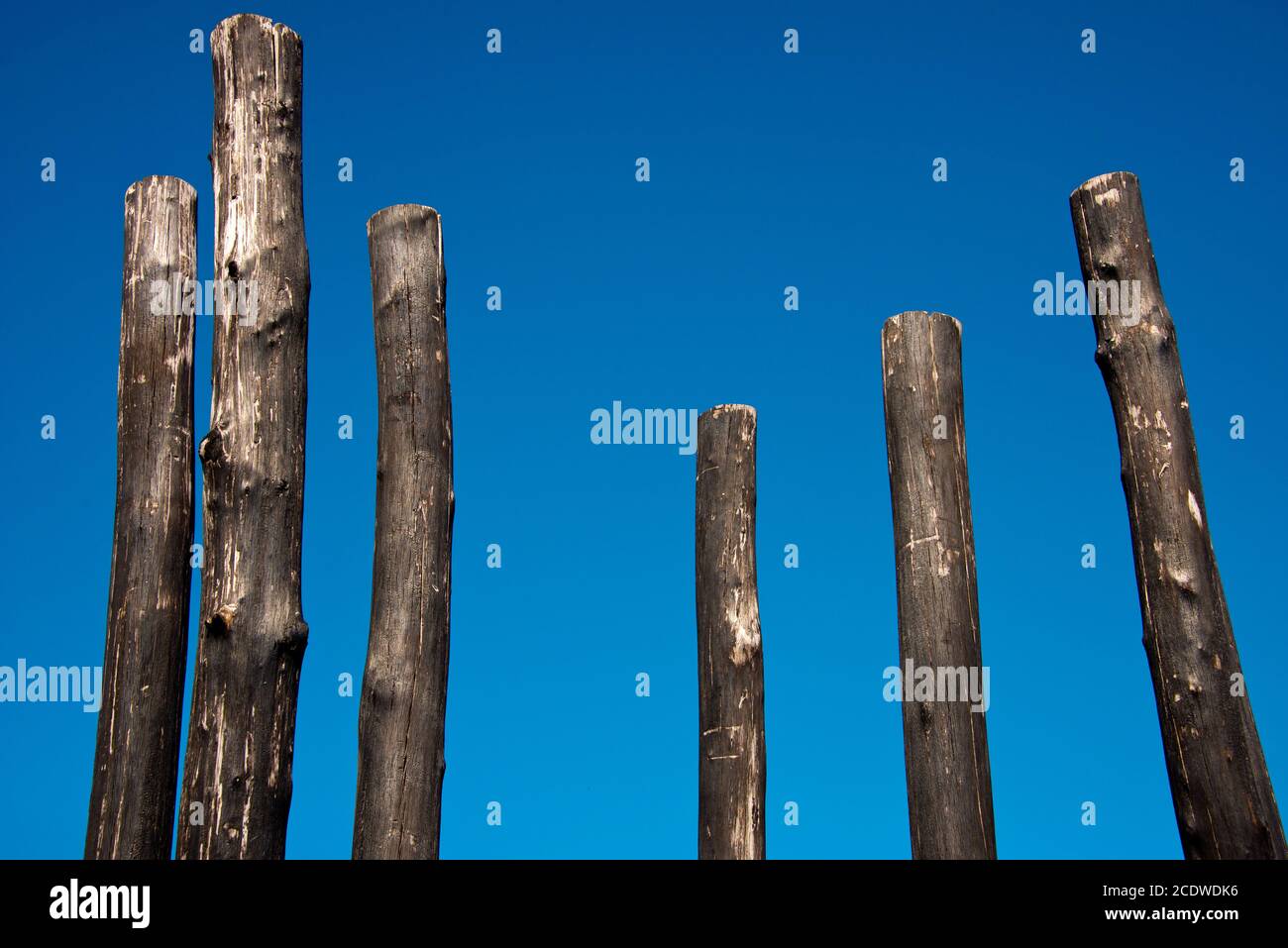 groupe de poteaux en bois Banque D'Images