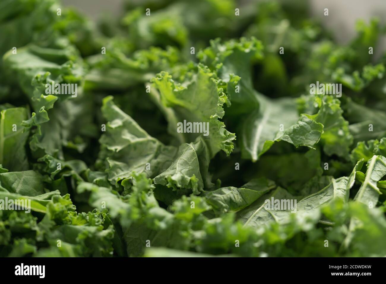salade kale feuilles dans bol blanc fermé, peu focarisé Banque D'Images