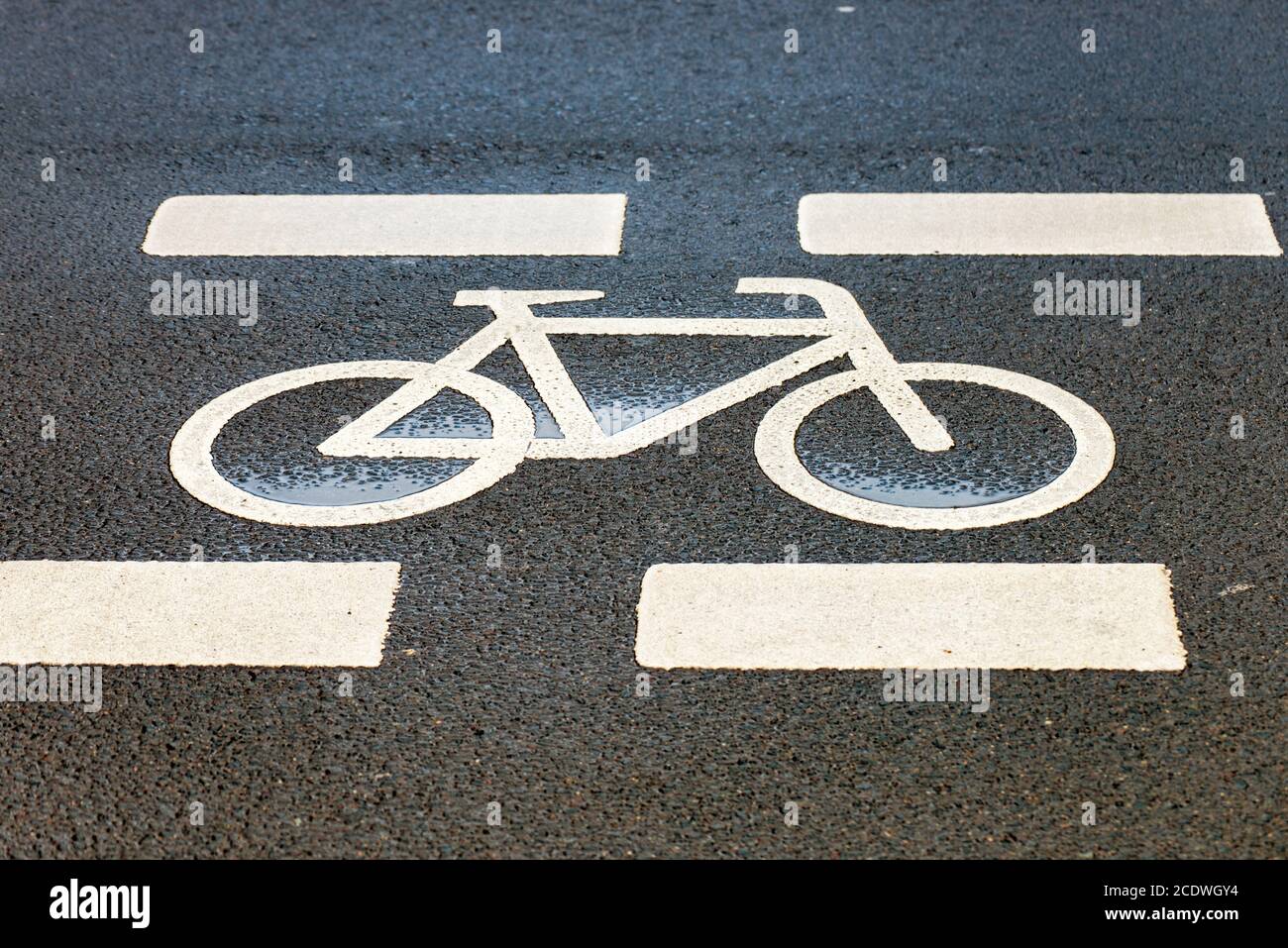 Symbole d'une trajectoire de cycle sur la route Banque D'Images