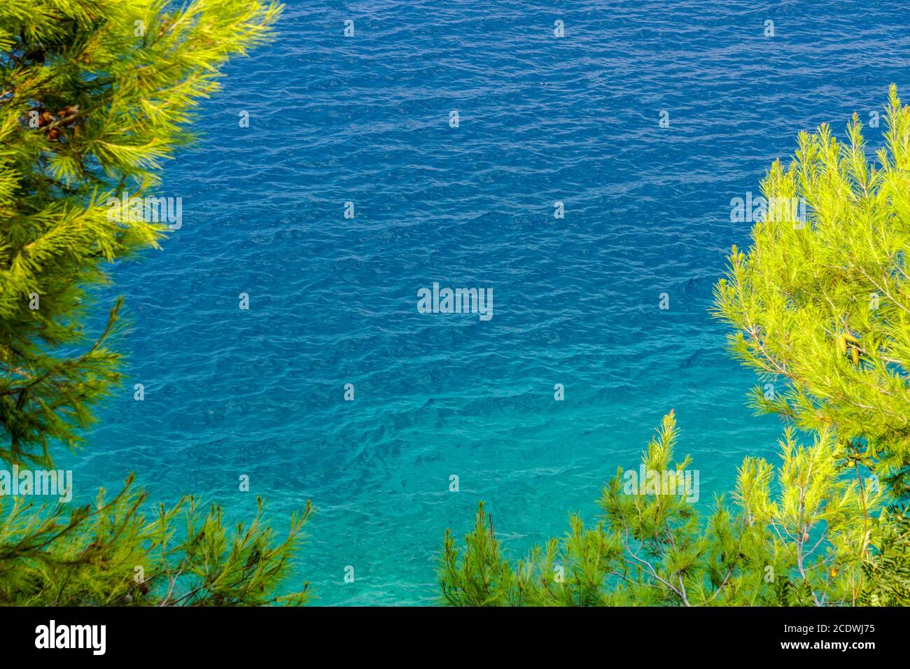 Magnifique sur la mer Banque D'Images