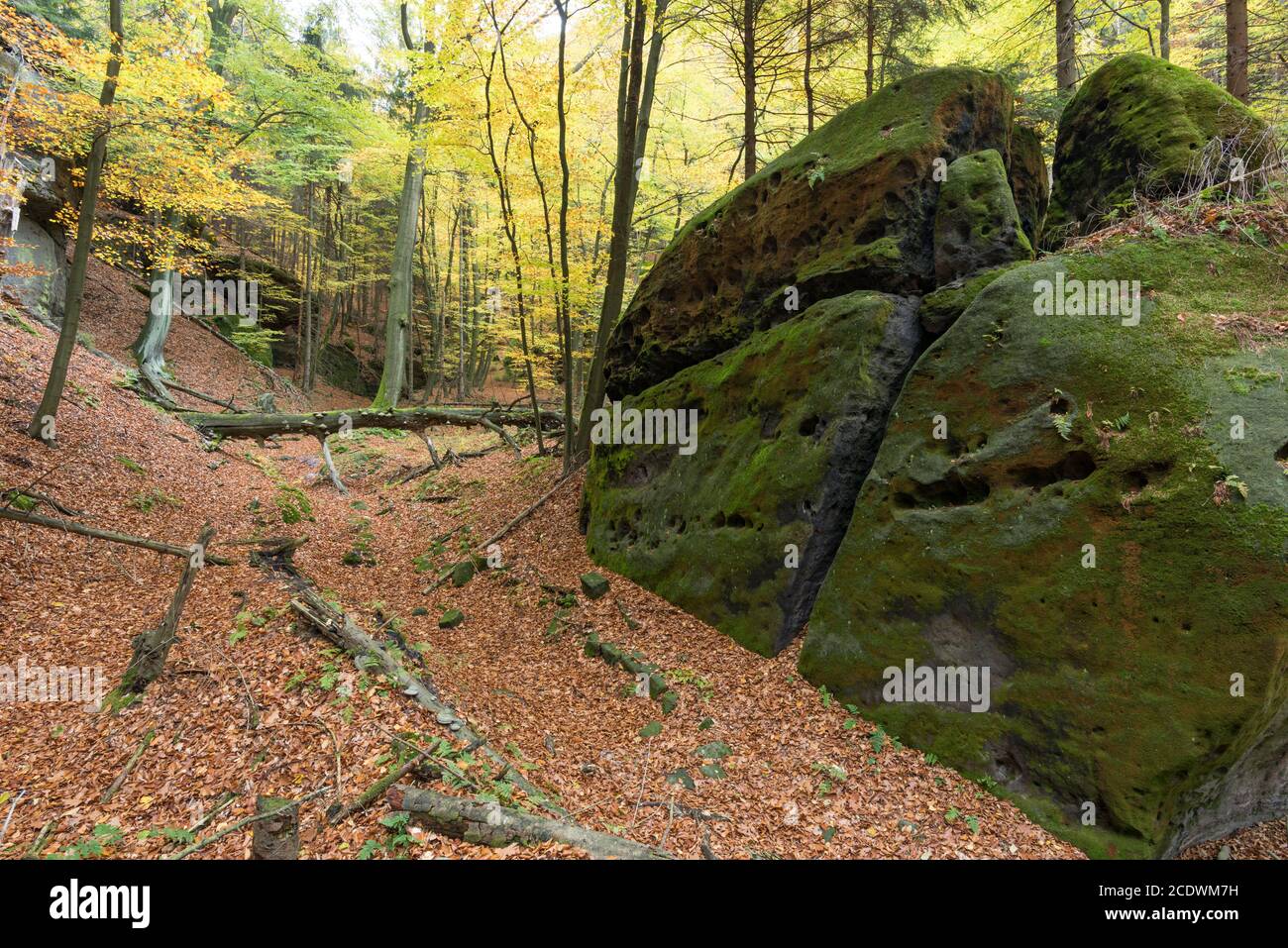 Montagnes de Grès de l'Elbe à l'automne Banque D'Images