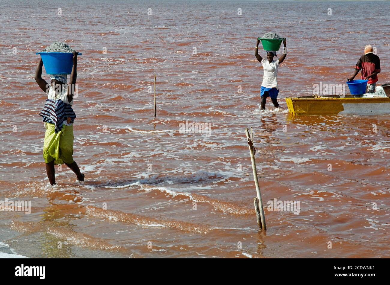 Sénégal, lac de sel de Redba ou lac Pink. Recueillir le sel Banque D'Images