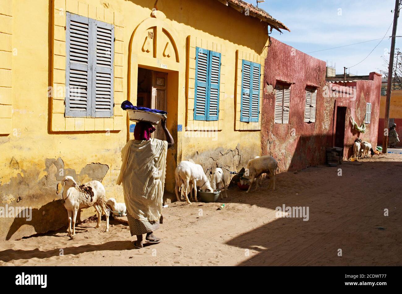 Sénégal, ville de Saint Louis, patrimoine mondial de l'UNESCO. Banque D'Images