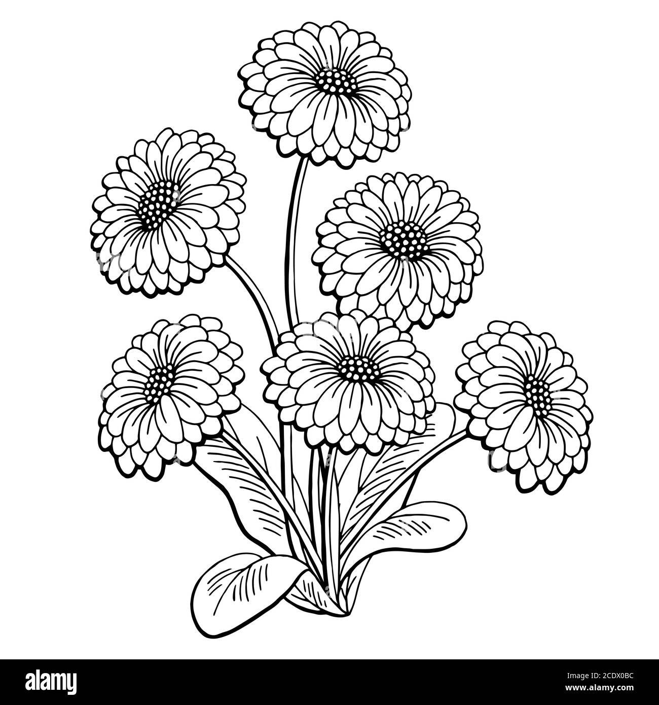 Fleur graphique noir blanc isolé bouquet d'esquisse vecteur d'illustration Illustration de Vecteur