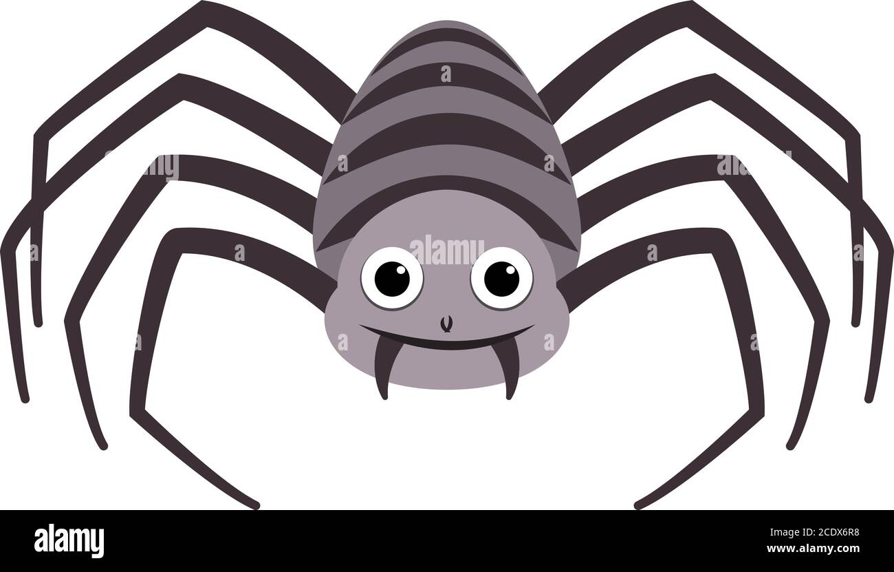 Dessin Dune Araignee En Couleur Pour Halloween Araignée à rayures Banque d'images vectorielles - Alamy