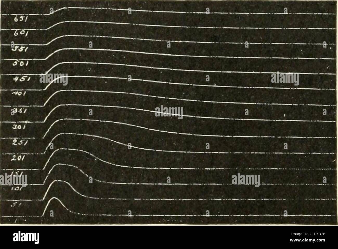 . Manuel de physiologie de Kirkes . augmentation de la hauteur pour les dix ou vingt premières, le phénomène de la trempe, thenrun de cinquante à cent contractions d'ampli-titude pratiquement uniforme, après quoi il ya une diminution progressive mais forte connue sous le nom de fatigue.Répétez l'expérience après dix minutes de repos. Les anciennes variations se produisent maintenant très rapidement, ce qui indique que les effets de fatigue ne sont que partiellement réceodés.32 498 PHYSIOLOGIE MUSCLE-NERF 8. L'effet de la fatigue sur le temps de la contraction simple.préparer un muscle-nerf et le monter dans la chambre humide, organiser pour le therecord a Banque D'Images