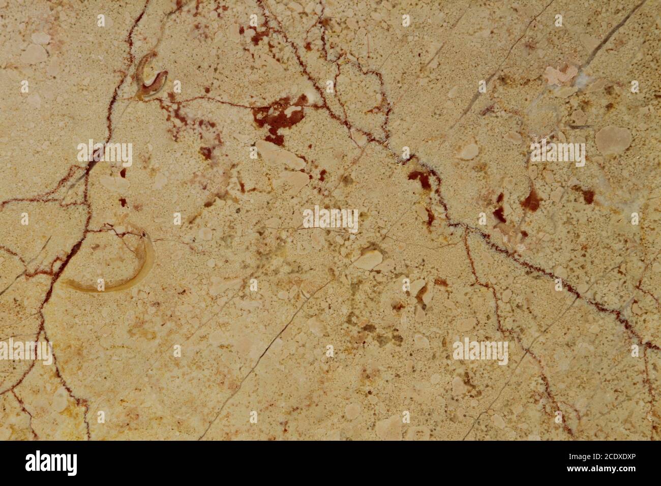 Quelques-unes des centaines de variétés de marbre en Turquie. Fond de texture à motifs en marbre pour le design. motif de fond abstrait texture en marbre. Banque D'Images