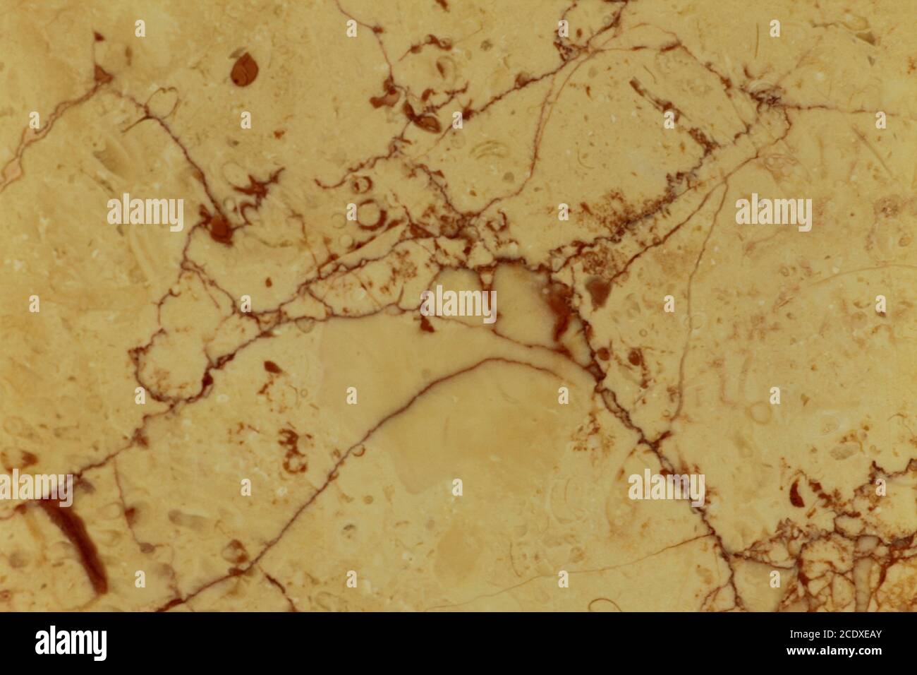 Quelques-unes des centaines de variétés de marbre en Turquie. Fond de texture à motifs en marbre pour le design. motif de fond abstrait texture en marbre. Banque D'Images