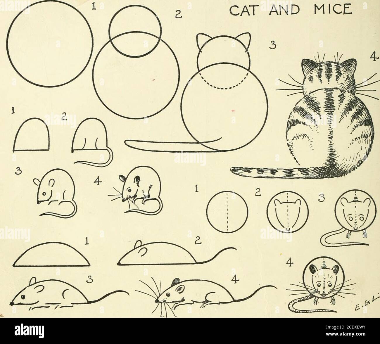 Dessiner Facile Un Livre Utile Pour Les Jeunes Artistes La Facon De Commencer Et De Terminer Vos Croquis Clairement Montre Etape Par Etape 50 Dessin Simplifie Cat Et Souris