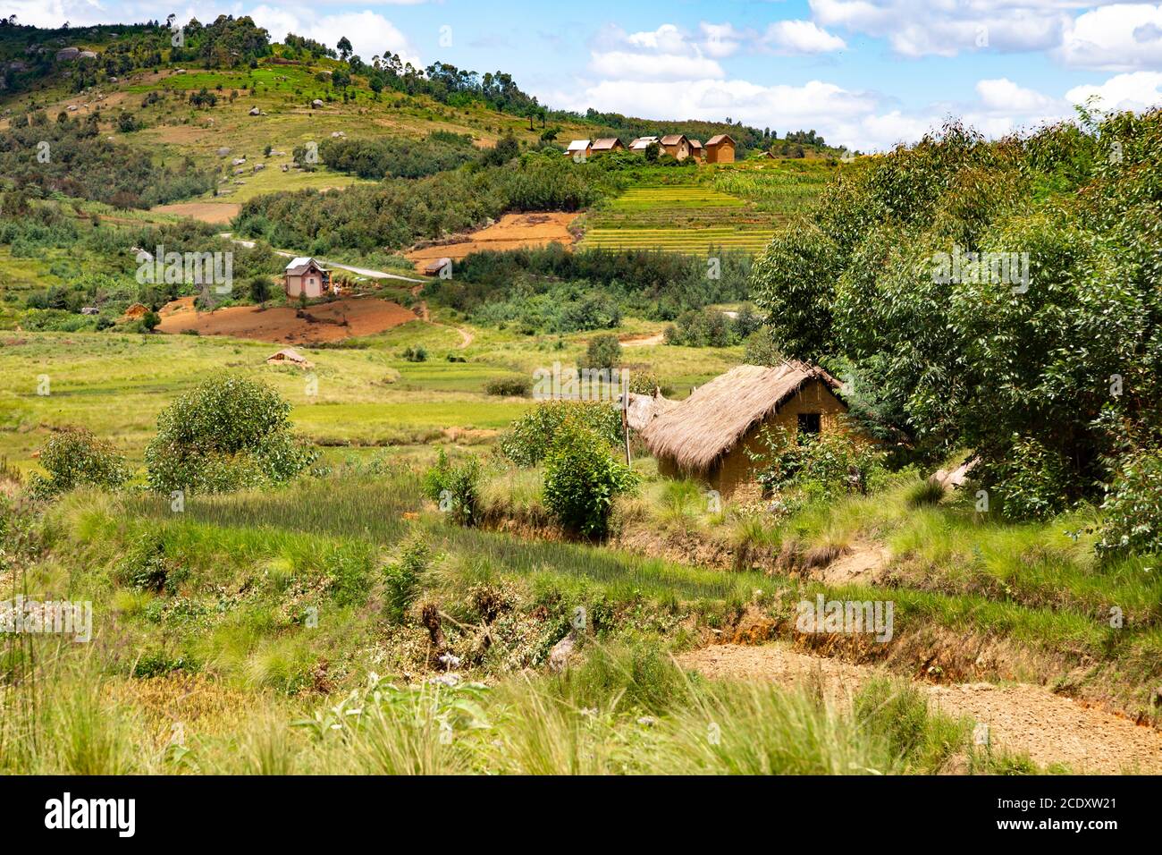 Photos de paysages de champs verts et de paysages sur l'île De Madagascar Banque D'Images