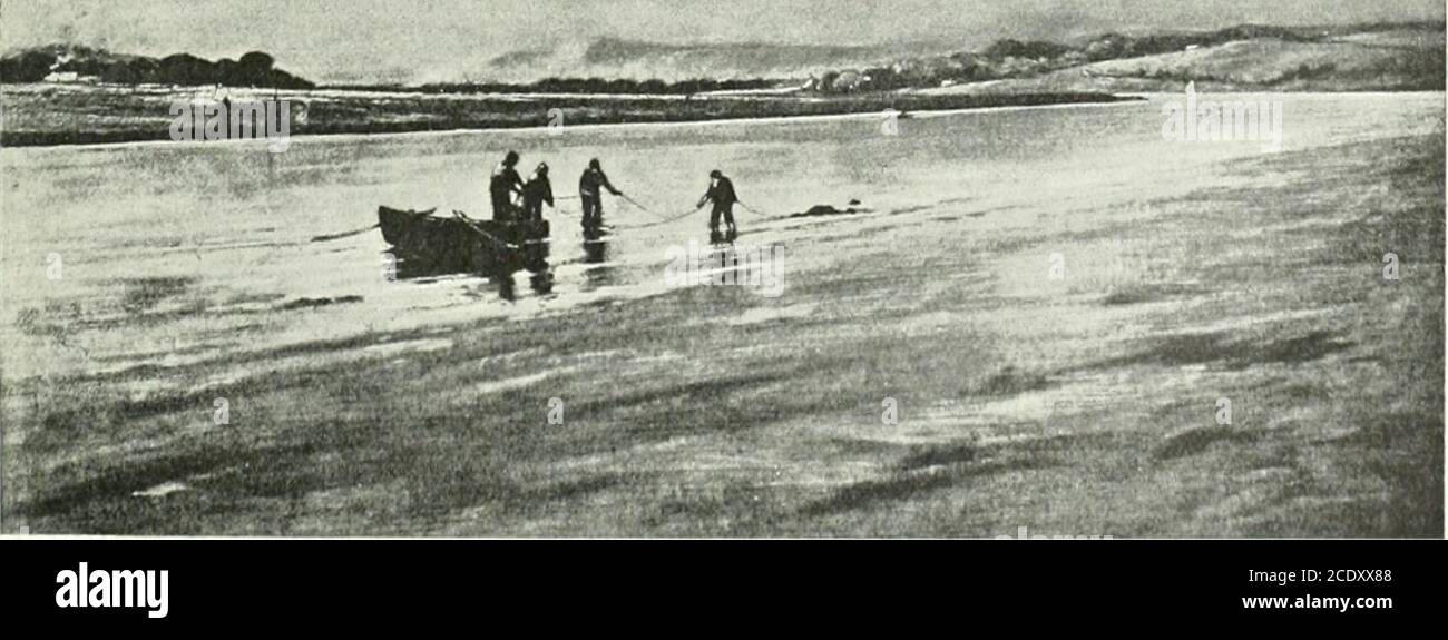 interpréter en anglais