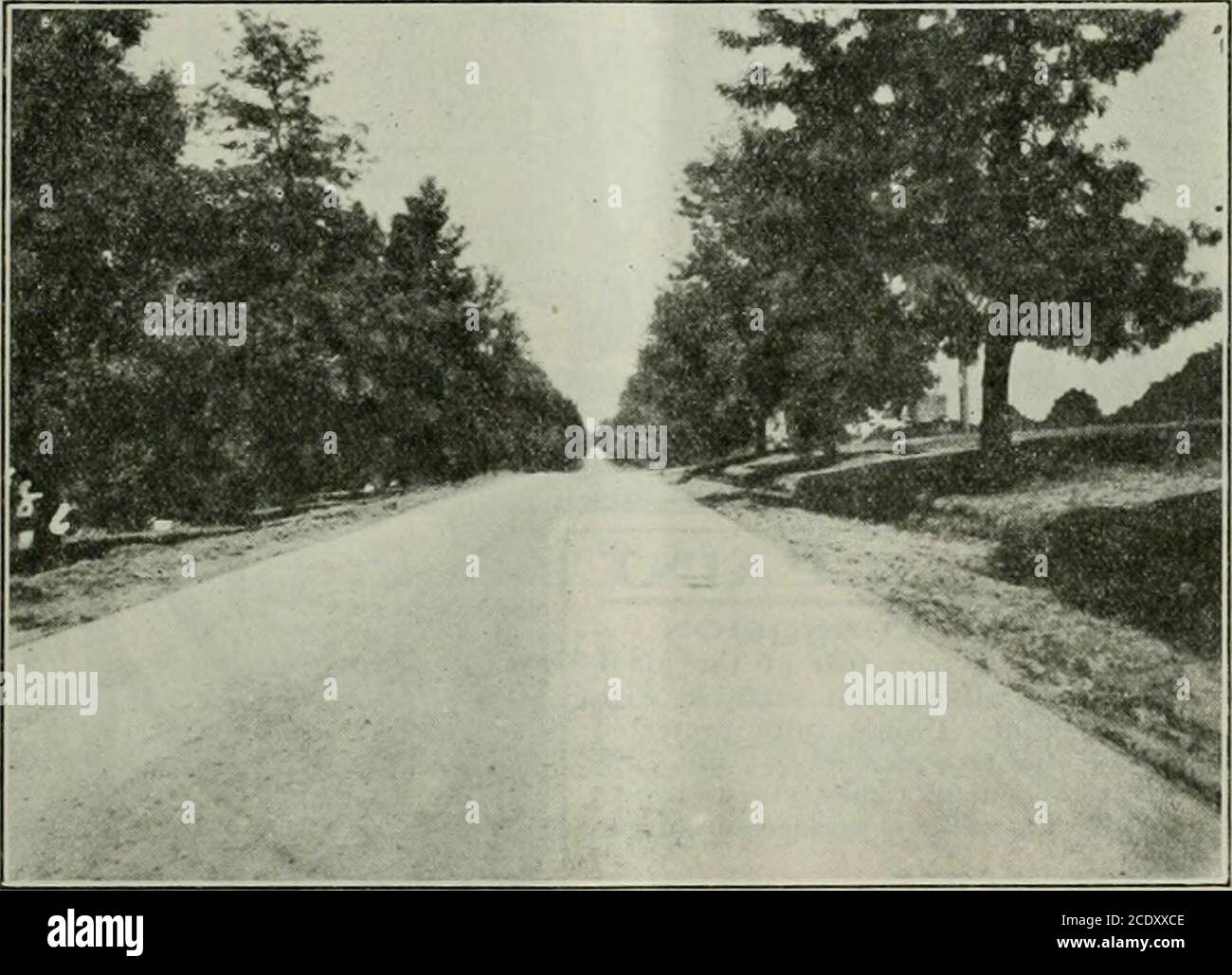 . Municipalités et comtés du Pacifique . te Leagues of Municipalities 474 publication OfficePacific Building, San Francisco, Cal. Deux dollars par an copie unique25 cent* I '′ I '′ il 111 '′ lâ«itVt I ! II vous intéresse au Street Work ? SI C'EST LE CAS, SÉCURISEZ NOTRE PUBLICATION ^Improvement Act of 1911Improvement Bond Act of 1915 ET Vrooman ACF compilé par WM. J. LOCKE M. Locke a passé de nombreuses années à gérer le travail juridique dans les affaires de rue, et ce petit livre est le résultat de sa large gamme d'expérience PRIX DE BOOKS1.50 plus Postage nous sommes spécialistes dans toutes sortes de FORMES, LIVRES ET OBLIGATIONS F Banque D'Images