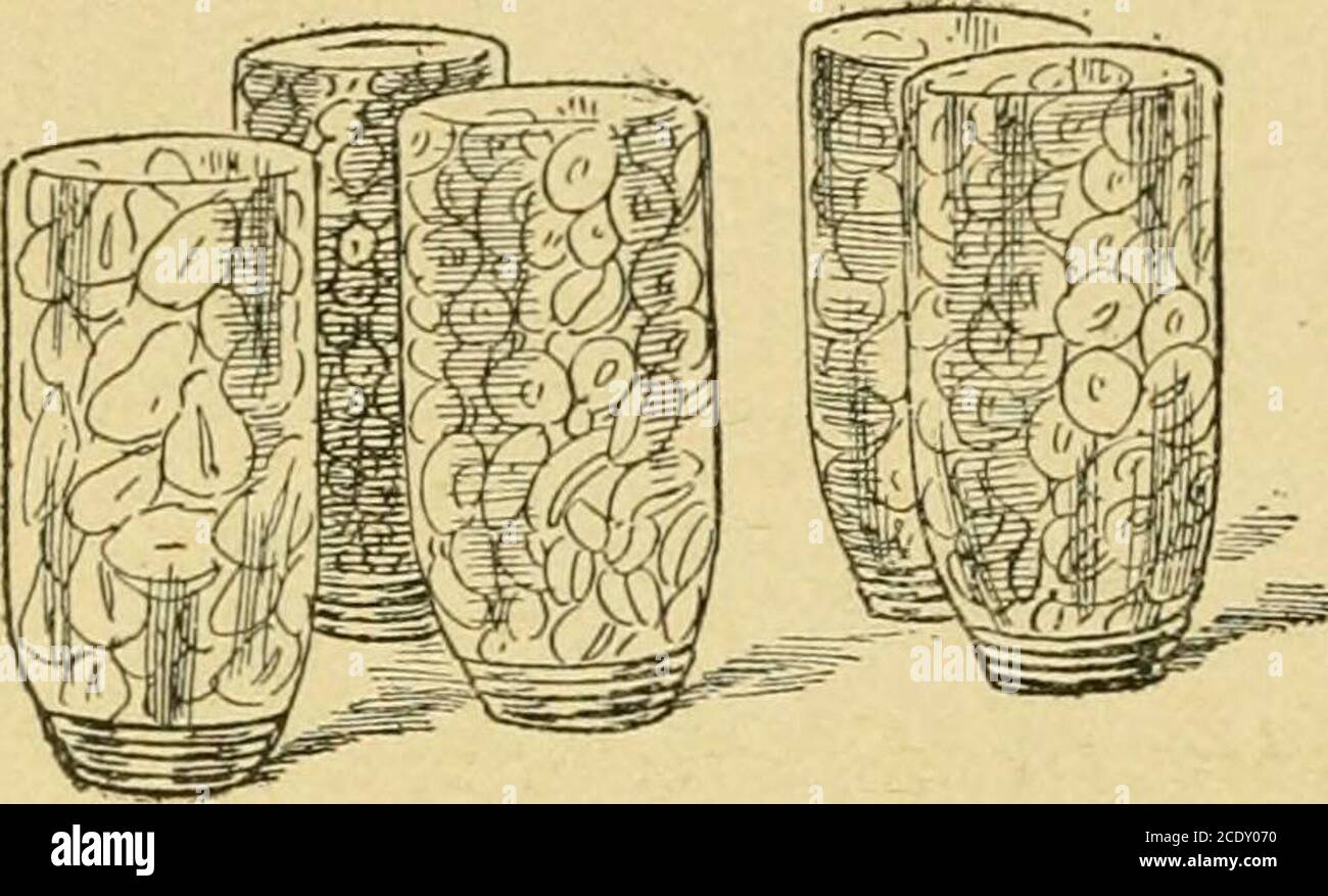 . Maison et santé; un manuel de ménage contenant deux mille recettes et des suggestions utiles sur la construction et les soins de la maison en harmonie avec les lois de santé .. . 192 Accueil et Santé tact, insouciance, et persévérance dans toute occupationapportent des résultats satisfaisants. Le test d'étanchéité jusqu'au refroidissement. Si aucun jus ne s'écoule, ils sont parfaitement scellés.après quelques heures, ils doivent être placés à droite vers le haut dans un endroit frais. Mostfruit garde le meilleur dans l'obscurité. Les différents types de baies et de petits fruits peuvent être mis en conserve de la même façon. Cette méthode est par-ticully bonne pour toma-toes, bien que, bien sûr, pas su Banque D'Images