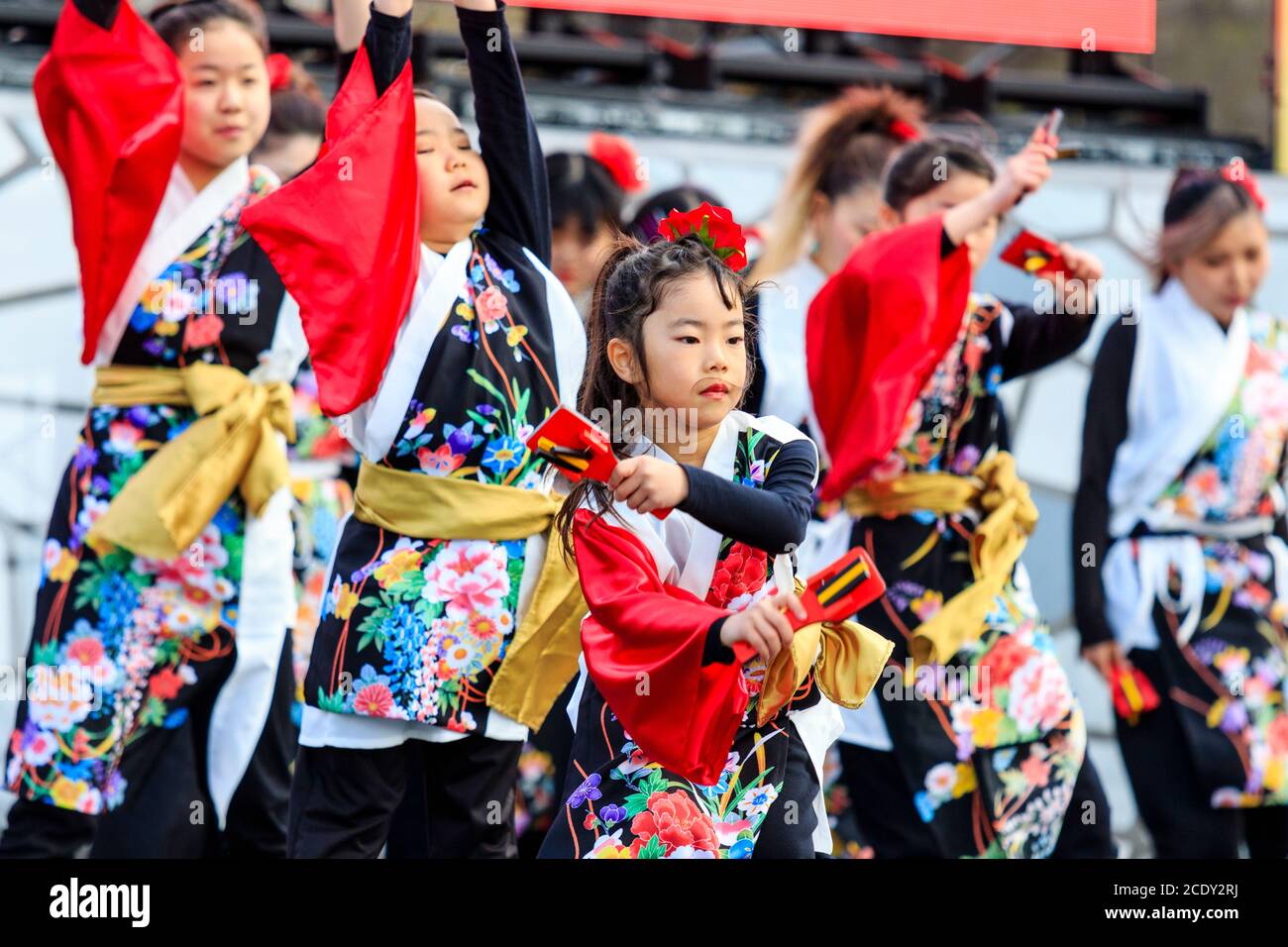 Petit enfant, fille, 8-9 ans, danseur yosakoi, dansant devant l'équipe tout en tenant naruko, des trappeurs en bois, au festival Kyusyu Gassai, Japon Banque D'Images