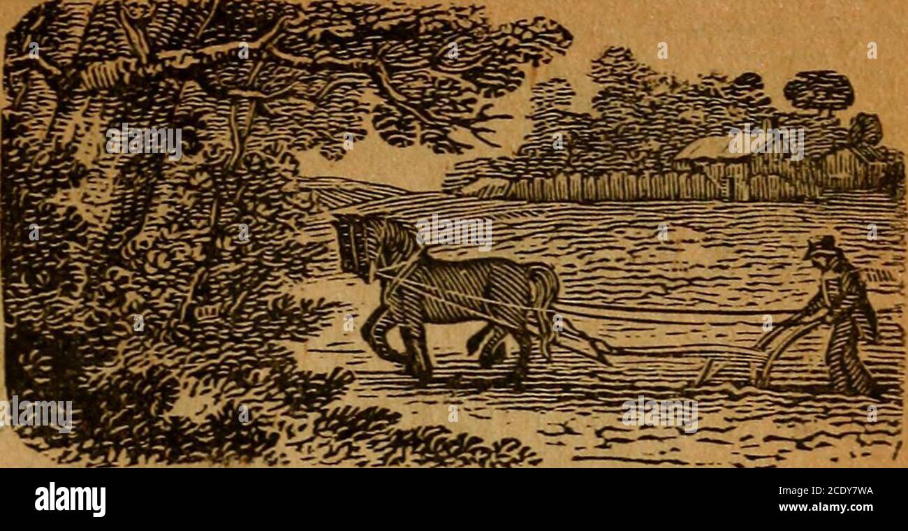 Turner S North Carolina Almanac Pour L Annee De Notre Seigneur Vous Feriez Un Voleur Ne Pensez Vous Pas Que Vous Auriez Le Pire Le Garcon Avait Raison Celui Qui