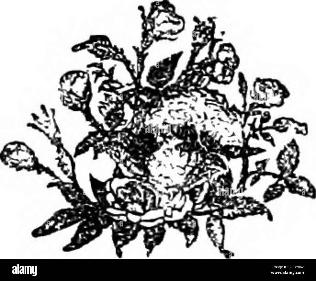 . Les oeuvres de John Ruskin . awing (1838) d'un endroit bien connu, Watend-lath Tarn, est introduit (plaque V.); il est en crayon (8|xl0f). Le dessin de Folkestone fait en 1849 en plume et sépia (11X18)—planche VI—montre la place dans les anciens jours que Ruskin se souvenait et regrettait (pp 610, 673). Ces deux dessins, et celui du château de Warwick, sont dans la collection de M. B. B. Macgeorge, de Glasgow, par qui ils sont reproduits ici. Le lastplate (VII.) montre la pièce de foi qui, dans Ruskins plus tard anesocupied la position centrale sur la pièce de mantelpiece dans son étude; l'a attribuée à Banque D'Images