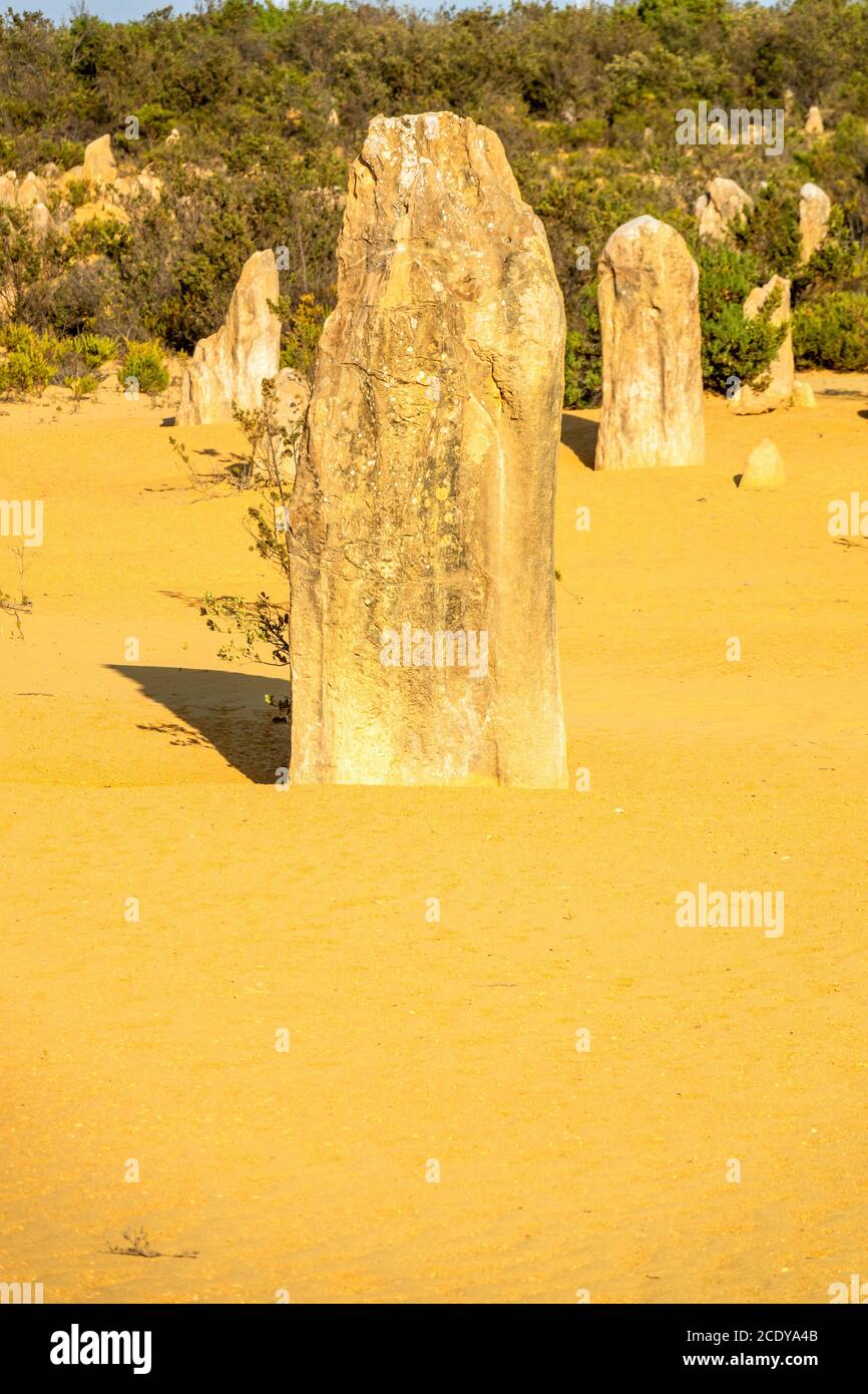 Pinnacles Desert dans l'ouest de l'Australie Banque D'Images