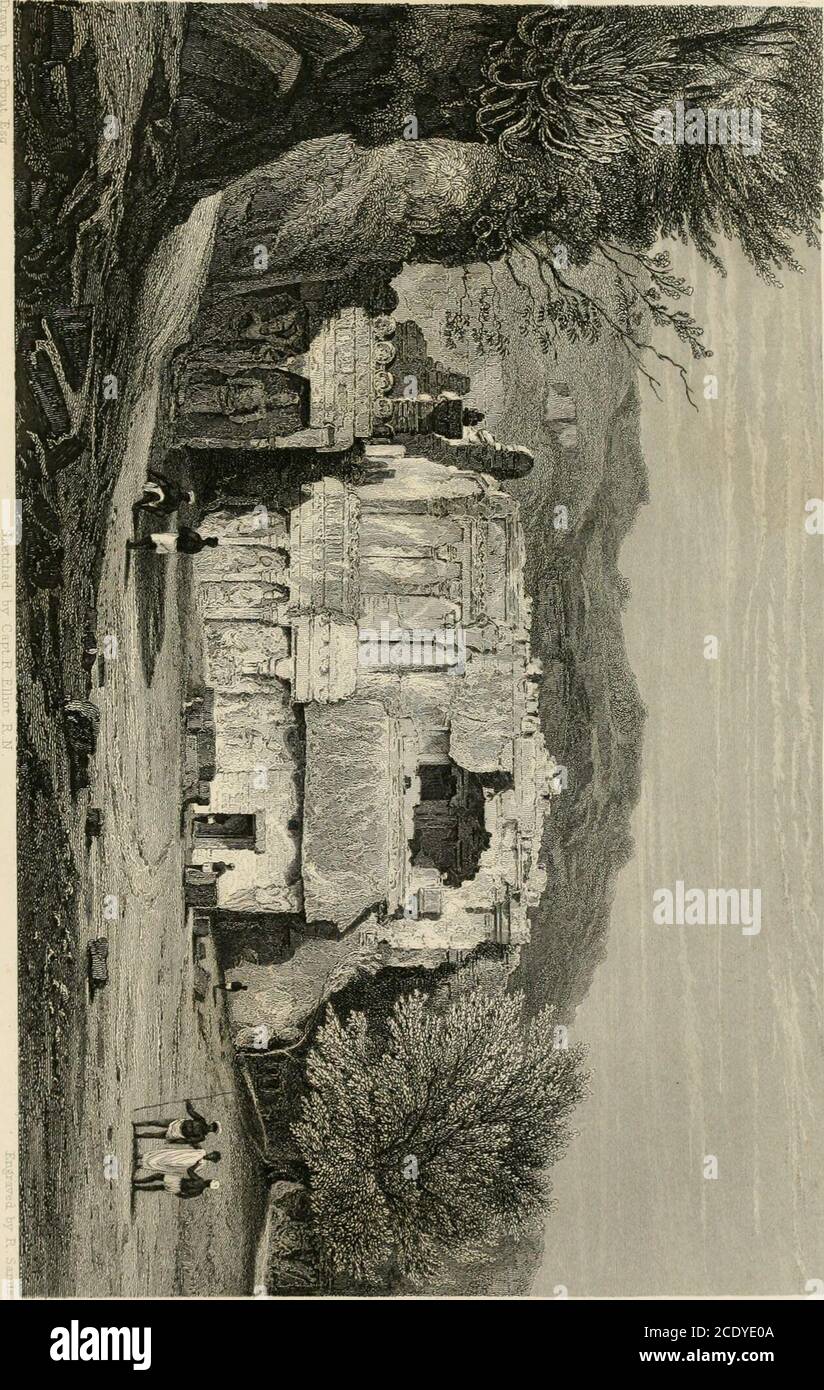 logo de montagne de photos primordiales