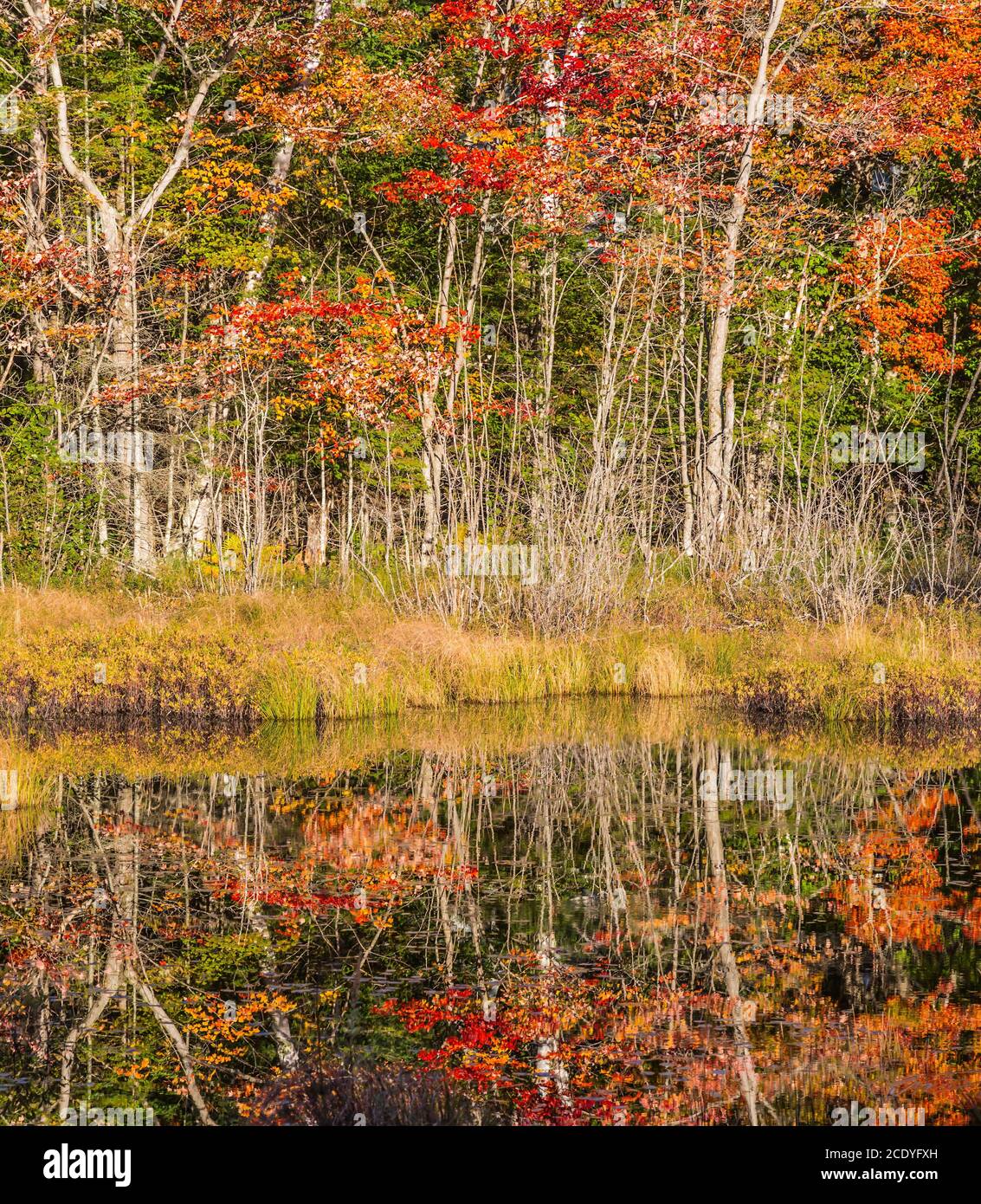 Le complexe au Canada français Banque D'Images