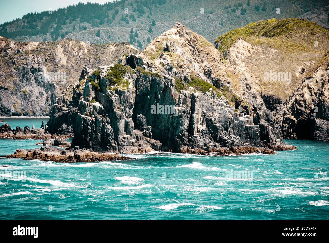 Vue sur la formation de roches sur le passage en bateau de Wellington à Picton Banque D'Images