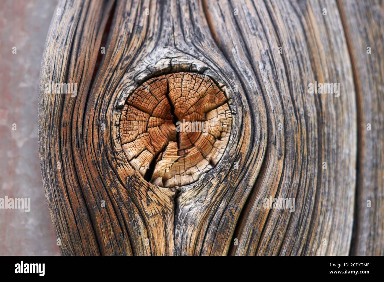 Texture en bois haute résolution branche de lignes gris brun noir blanc Banque D'Images