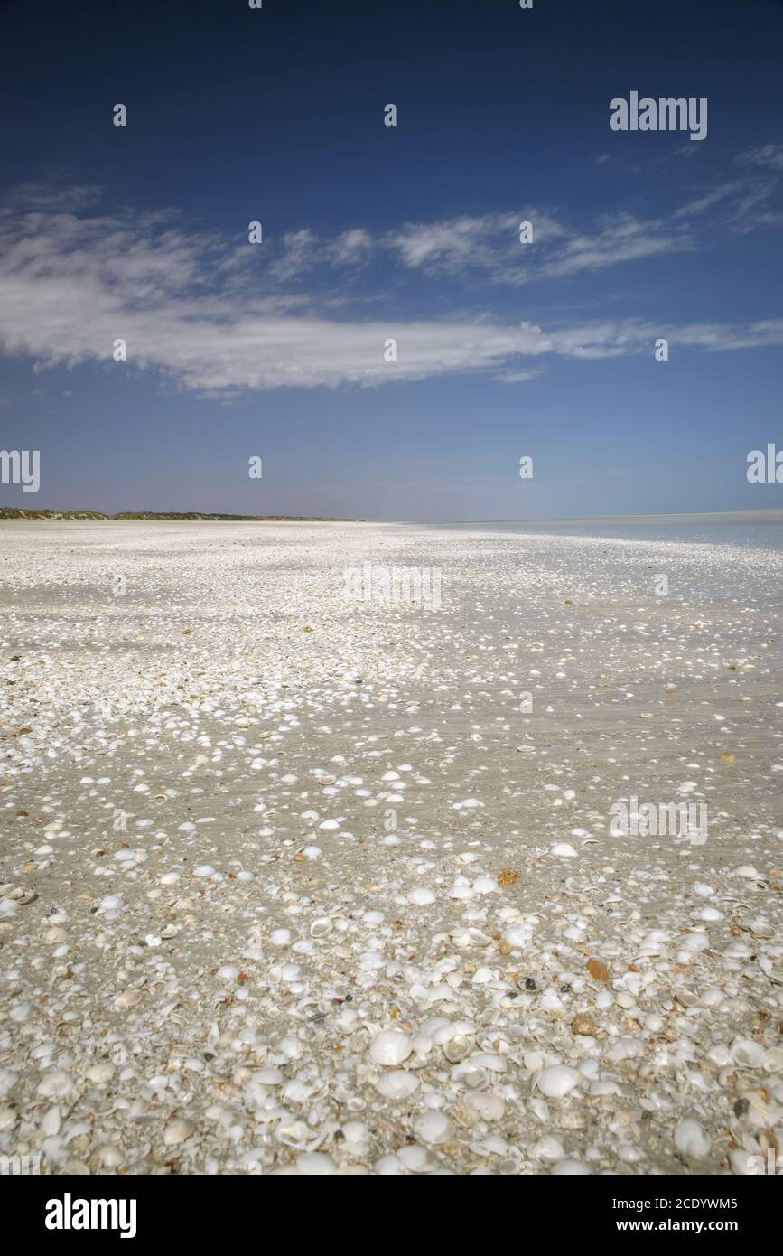 Australie occidentale - littoral à la plage d'Eighty Mile Beach Banque D'Images