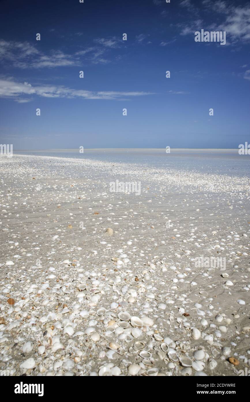 Australie occidentale - littoral à la plage d'Eighty Mile Beach Banque D'Images