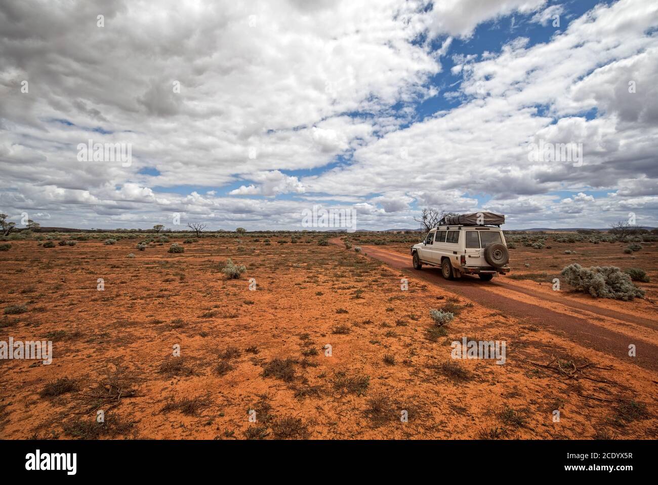 Australie méridionale – désert de l'Outback avec piste en 4x4 dans un ciel nuageux ciel comme panorama Banque D'Images