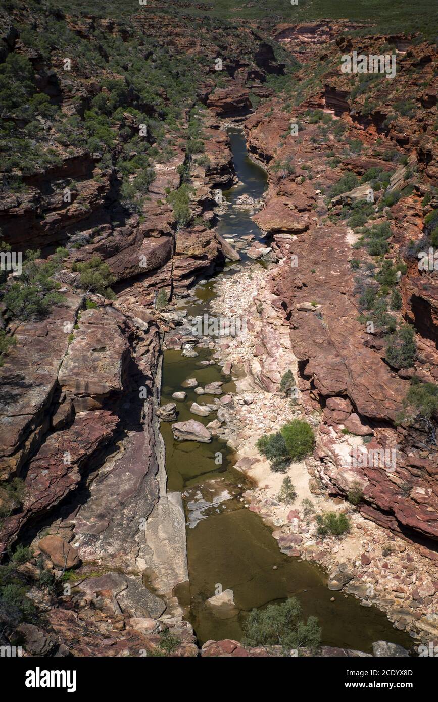 Australie occidentale - Paysage de l'Outback avec lit en bord de rivière Banque D'Images