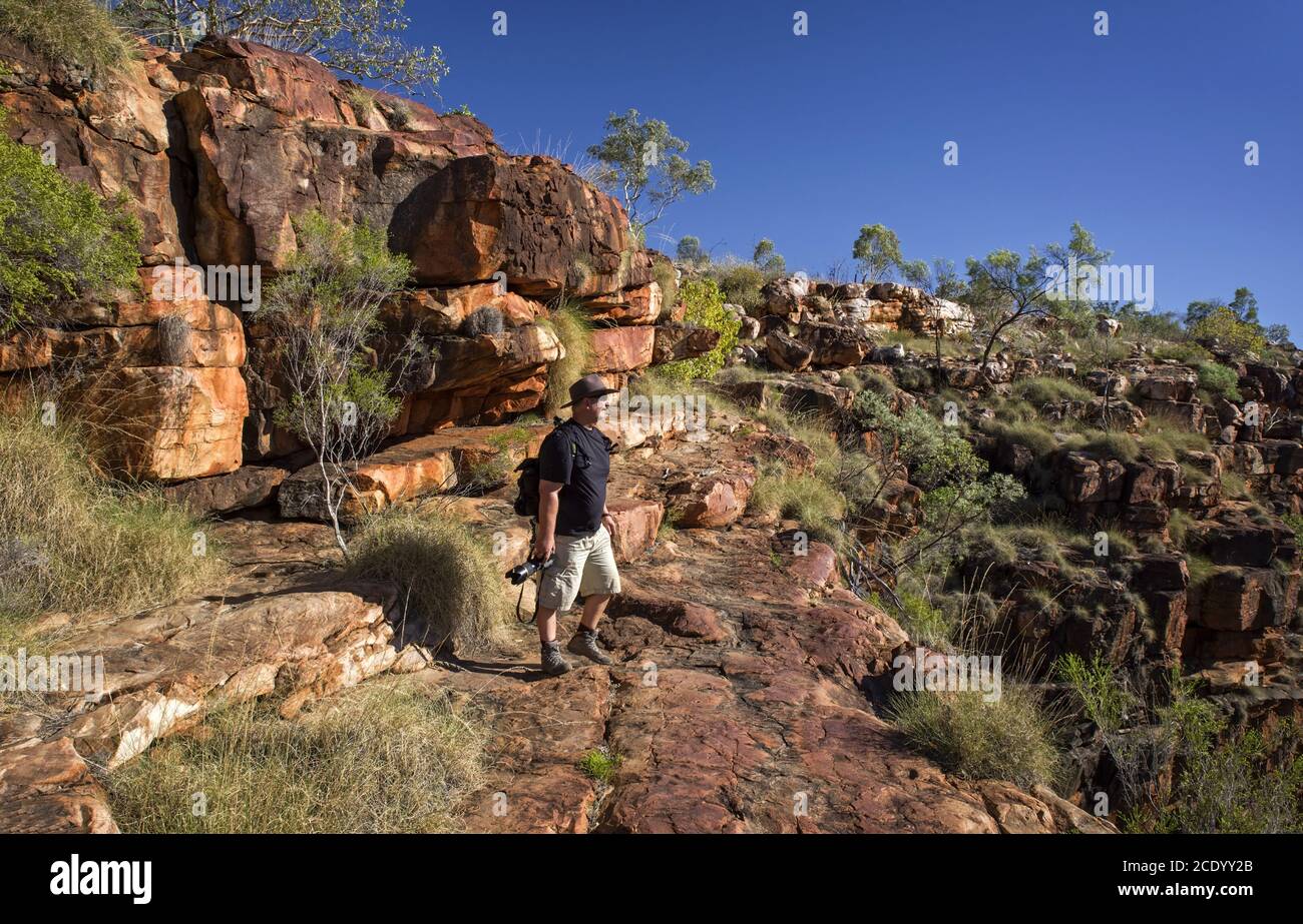 Photographe de la nature lors d'une randonnée dans l'Outback australien À l'environnement rocheux entre l'eucalyptus Banque D'Images