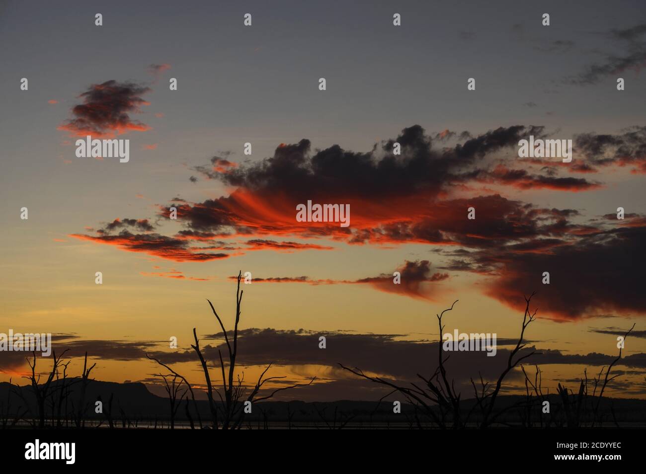 Coucher de soleil au crépuscule sur le marais du lac Argyle à l' outback en Australie occidentale – papier peint Banque D'Images