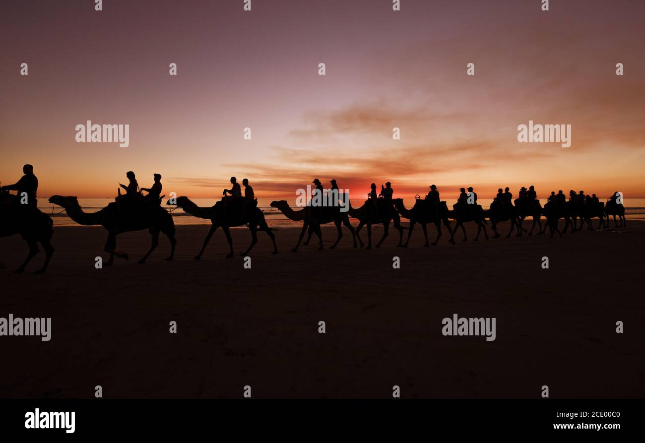 Australie occidentale - excursion à dos de chameau au coucher du soleil avec silhouette De touristes sur Cable Beach à Broome Banque D'Images
