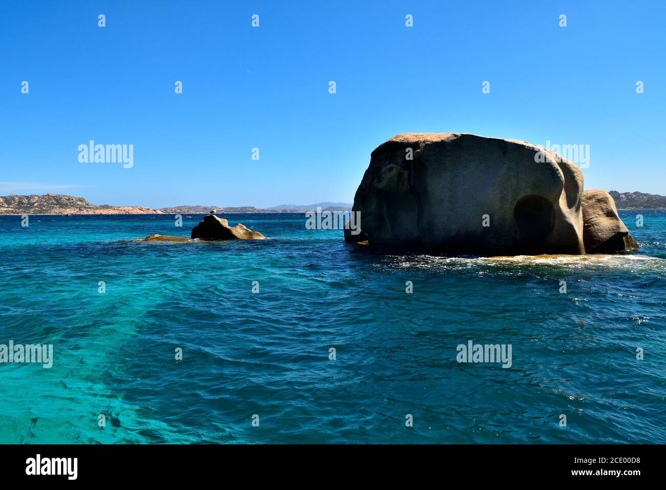 Une vue sur un magnifique mouette sur les rochers Banque D'Images