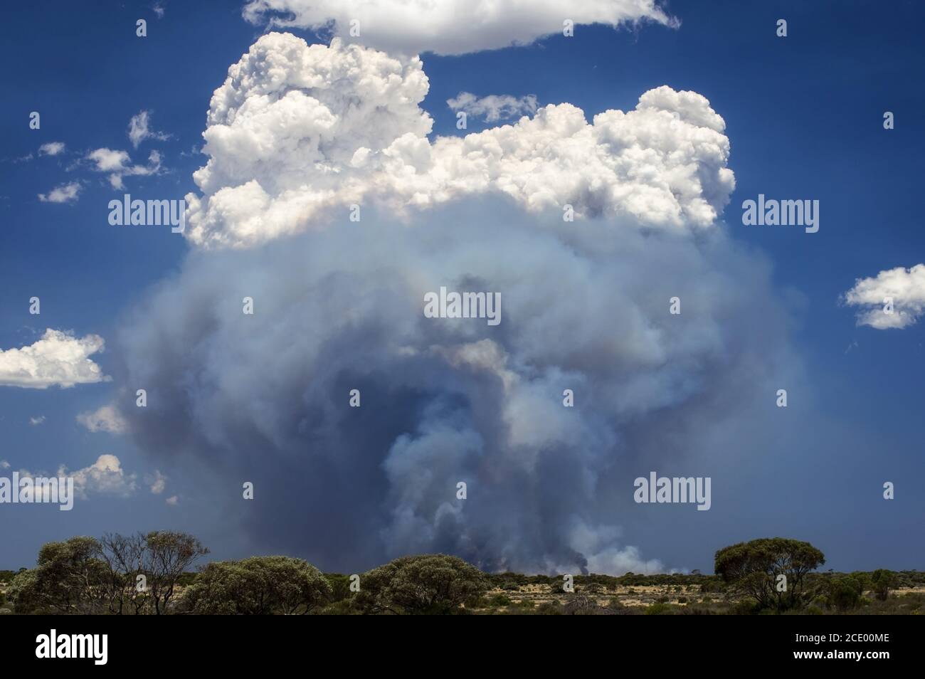 Australie occidentale – feu de brousse dans le désert de l'Outback à Plaine de Nullarbor avec de hauts nuages de fumée et Banque D'Images