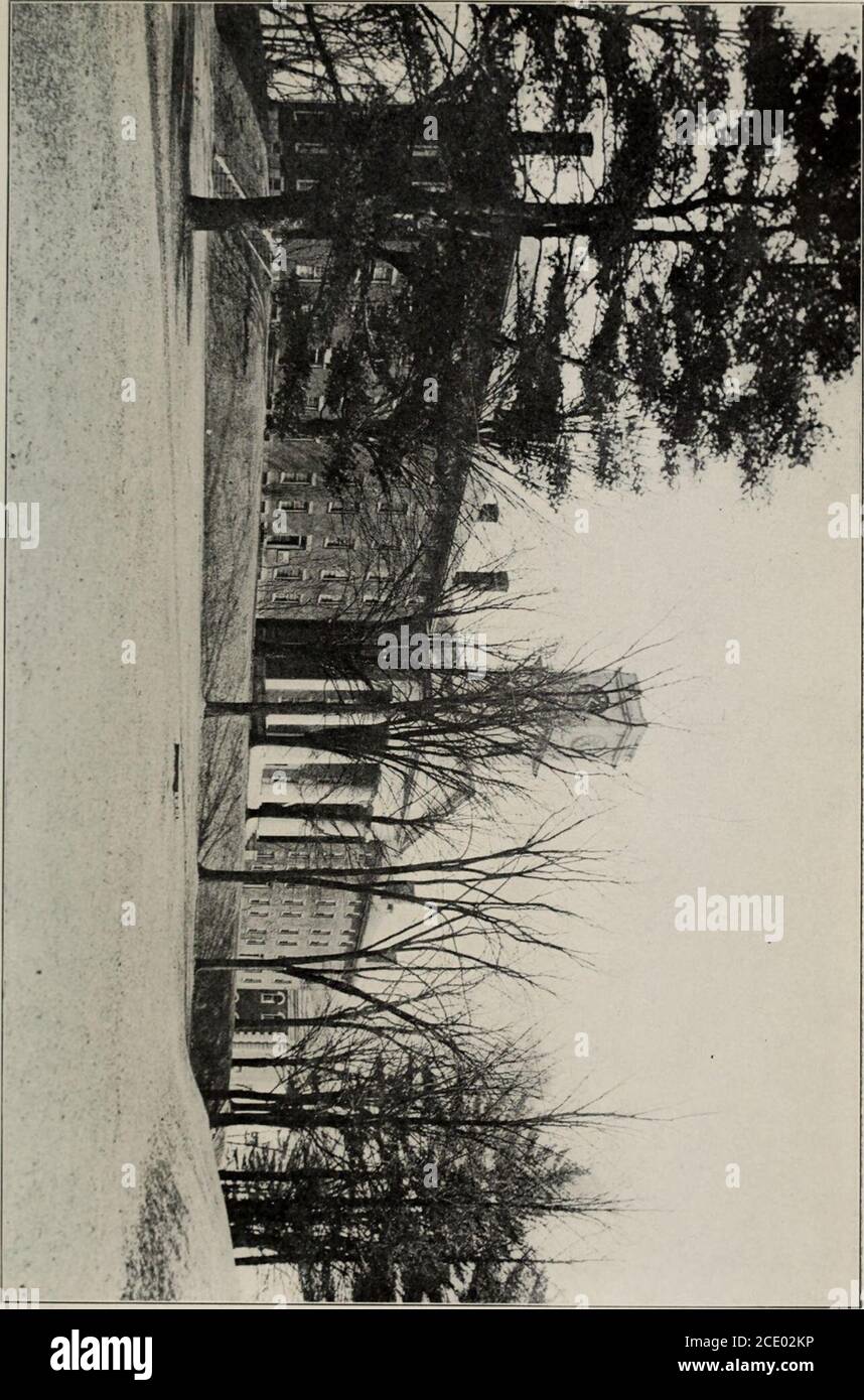 . Catalogue . objet enregistré par le Conseil d'examen d'entrée au collège et utilisé pour désigner leurs documents d'examen. LATIN le Collège a adopté les définitions suivantes des exigences proposées par la Commission sur les exigences d'entrée en collège en latin. QUANTITÉ ET ÉTENDUE DE LA LECTURE REQUISE la lecture latine requise des candidats à admissionto College, sans égard à la prescription des auteurs et œuvres particuliers, ne sera pas inférieure en quantité que César,Guerre gauloise, i-iv; Cicero, les orations contre Catiline, forthe Manilian Law, et pour Archias; Vergil, Mneid, i-vi. Le montant Banque D'Images