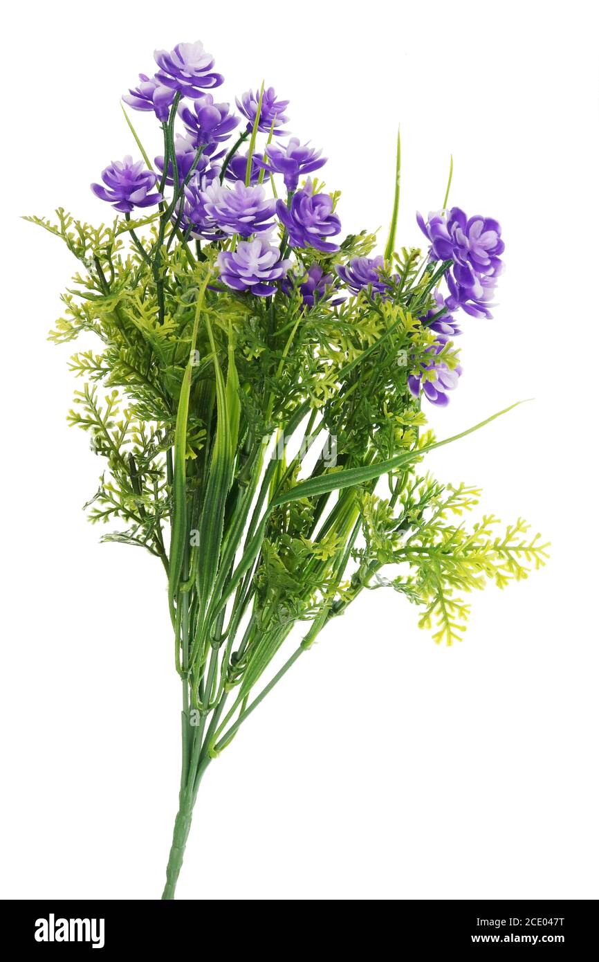 Artificiel mort bleu foncé fleurs plastique isolé macro Banque D'Images