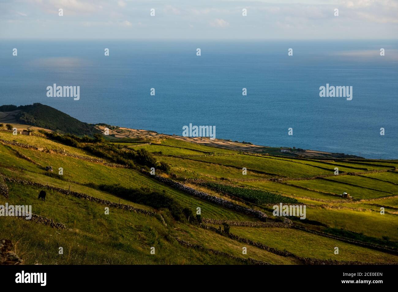 Vue sur le paysage des champs verdoyants de l'île de Terceira aux Açores, au Portugal. Plaine verte avec l'océan Atlantique en arrière-plan. Banque D'Images