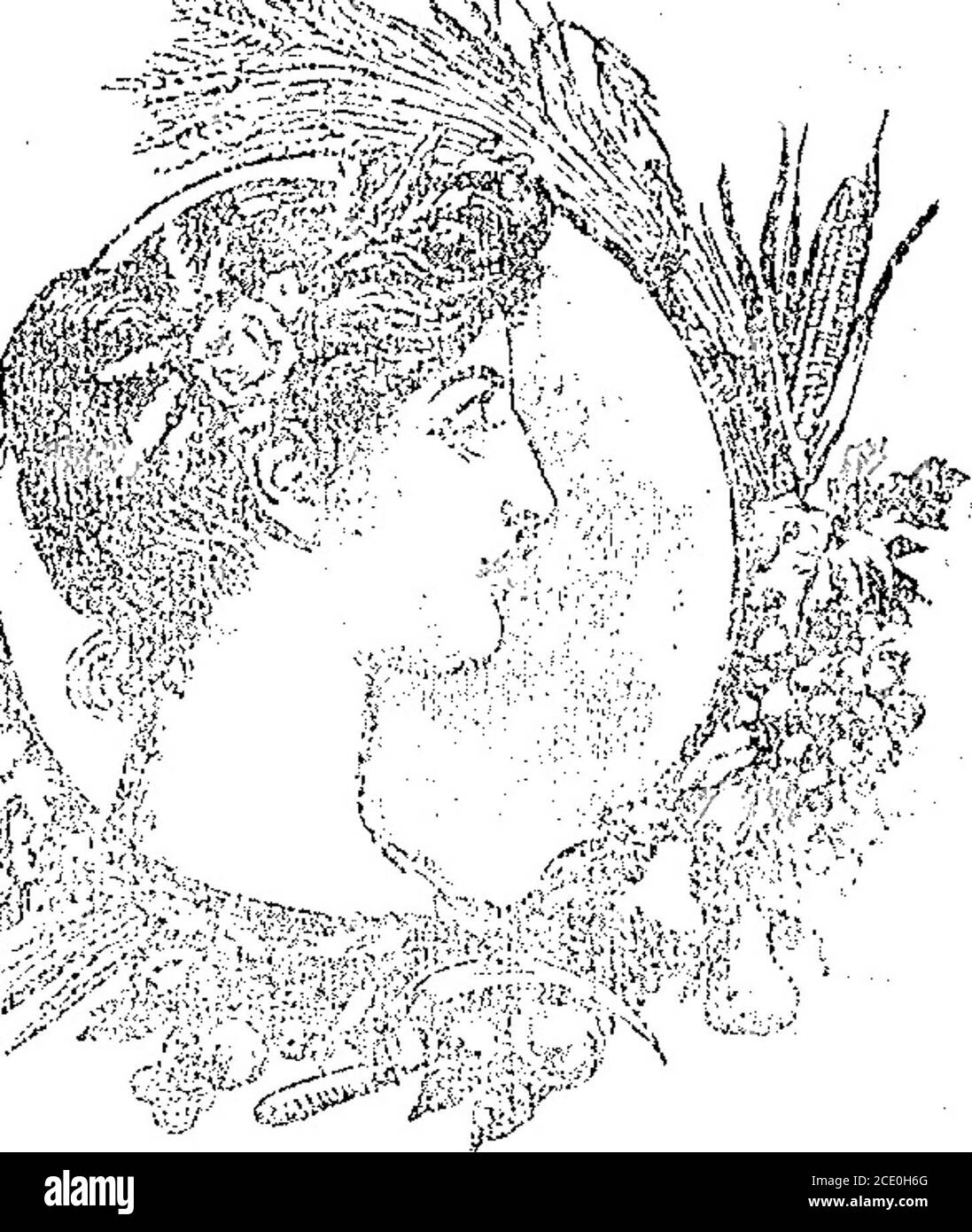 . Boletín Oficial de la República Argentina. 1907 1ra sección . D-2849905 ya caducada, por concierge queda ubi-cada lindando por el norte con el límite suddel cateo que corresponde al exp M-2970-906y su prolongation hasta el arroyo Milla mi-chicó; por el S. y E , con este mismo arroyo,por e! oeste con el río Neuquen. -J. J Casa-belli, - Buenos Aires, diciembre 18 de 1906.Regístresse, publisíquese en el Boletín Oficialconformae ai ait t>5 del Código de Minería,comuniqúese á qui-n corresponda, notifíqueseal interesado, fijes;: apudigo de la divisción y las visón de la cuisón Banque D'Images