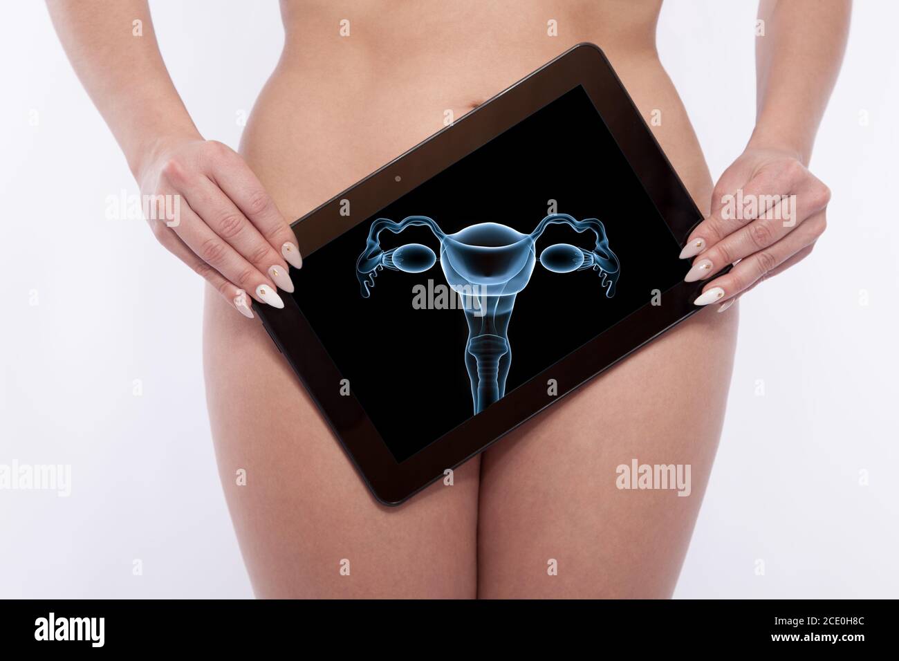 La sélection des organes d'une femme reproductiv Banque D'Images