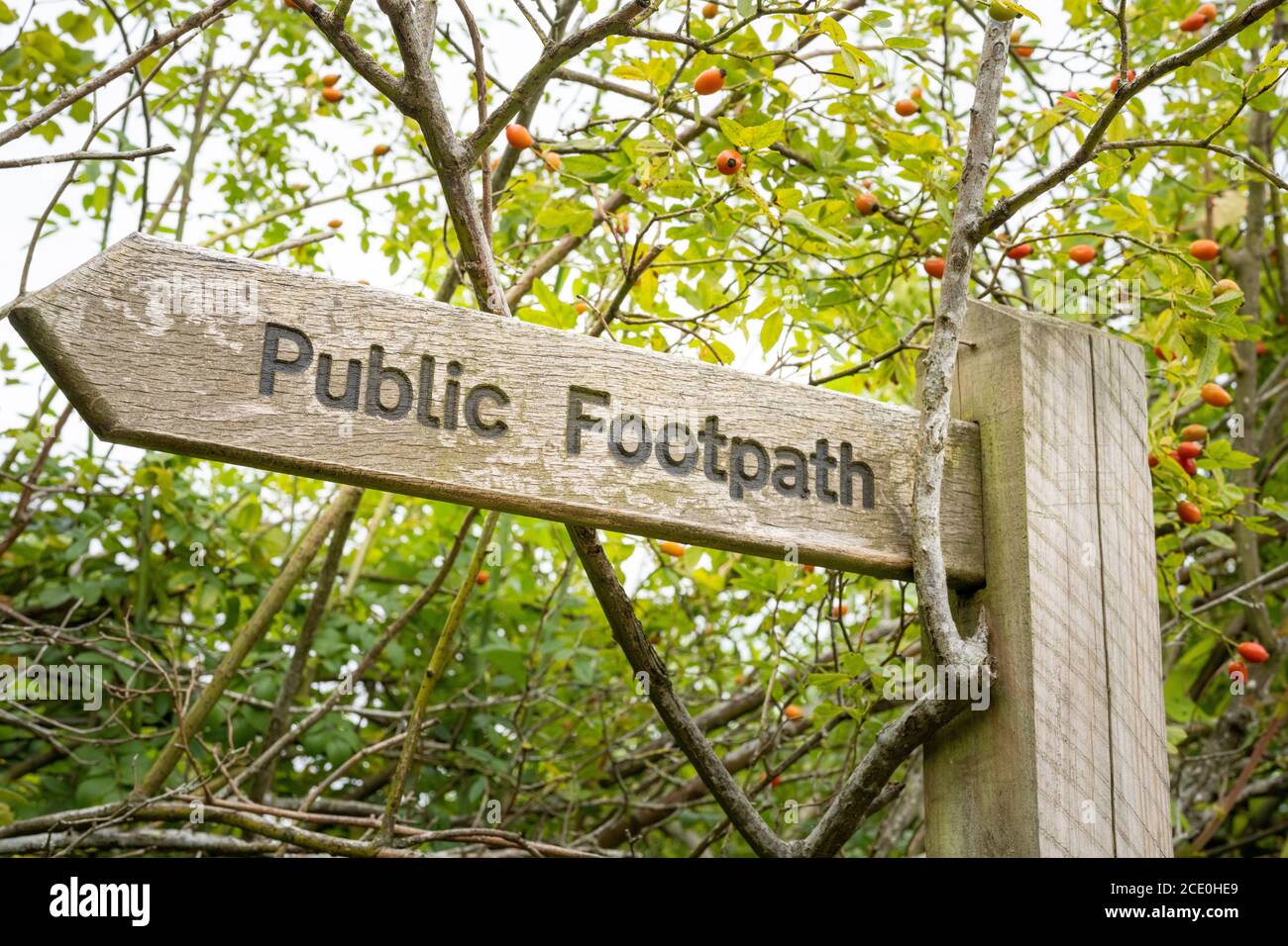 Signe de sentier public à Surrey, Angleterre, Royaume-Uni Banque D'Images