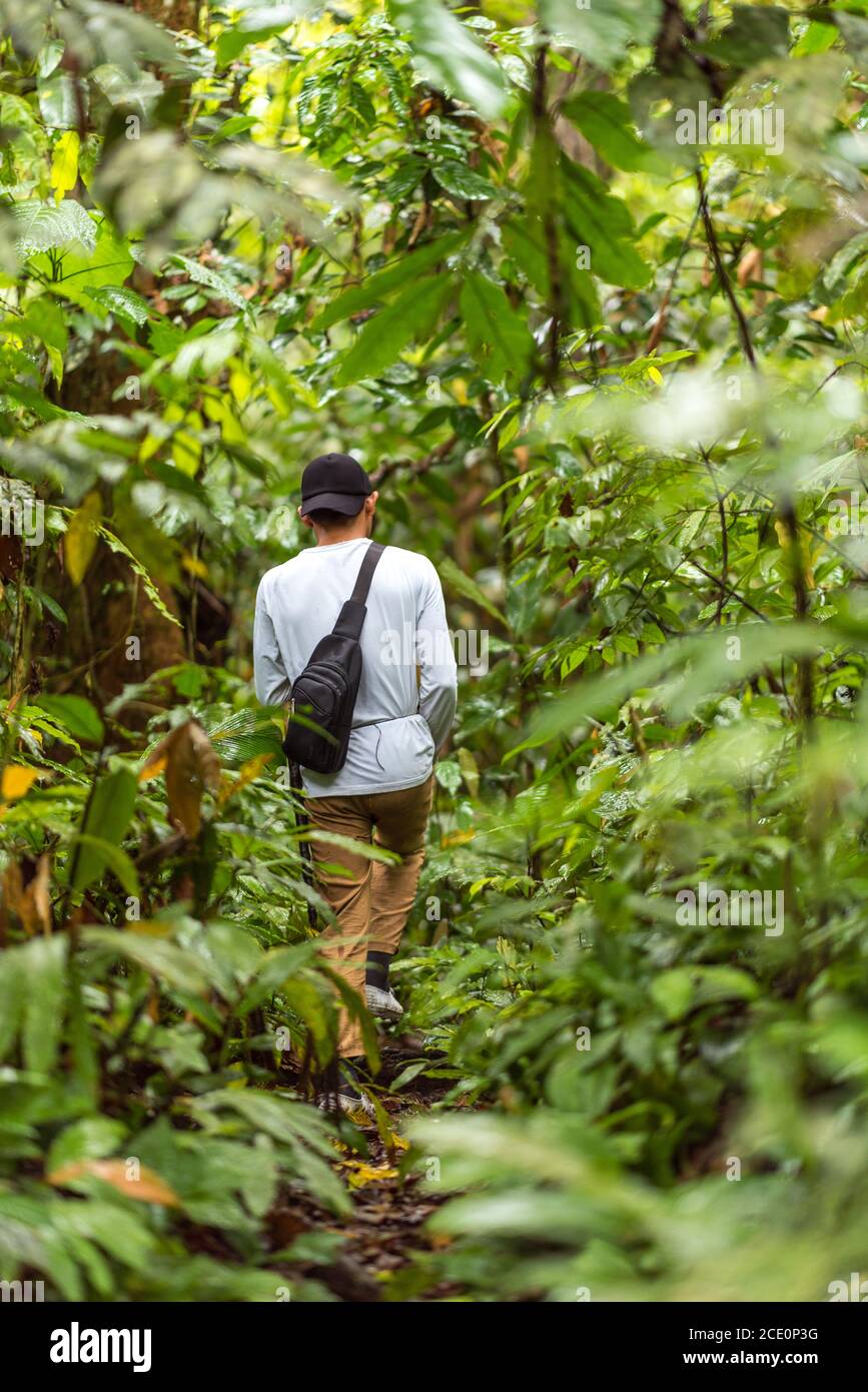 Recherche d'orangs-outangs dans la jungle de Ketambe sur Sumatra Banque D'Images