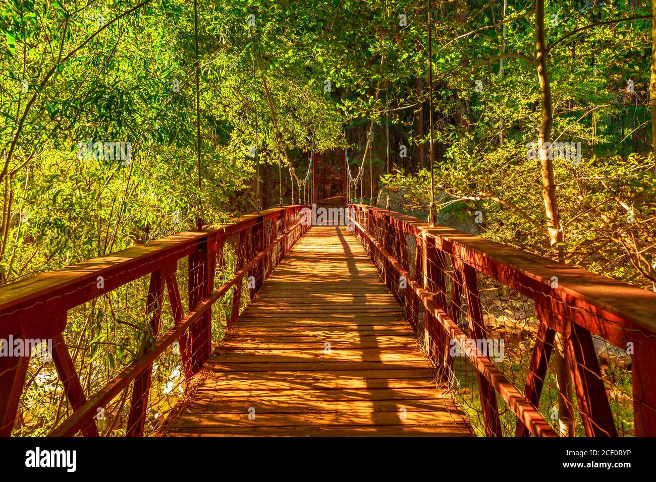 Passerelle de suspension vers Zumwalt Meadow. Zumwalt randonnée dans le parc national de Kings Canyon, un grand défrichement dans la forêt avec les fleurs sauvages et le Banque D'Images