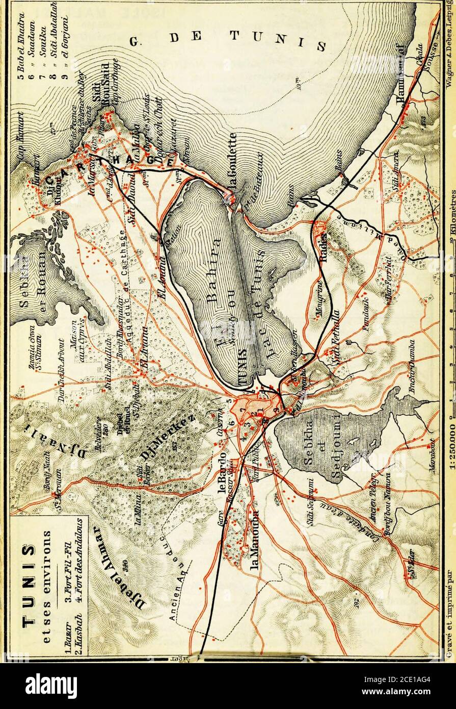 . Italie: manuel pour les voyageurs. Troisième partie, sud de l'Italie et Sicile . Géogr ANST v^va^ner ADebes Leipzig. TUNIS. 43. Itinéraire. 397 seilles passent le cap Farina, la corne ouest de la baie, avec des falaises abruptes en pierre calcaire. Son phare se trouve sur le plan de sable d'Isola. L'eau de la baie de Tunis est tachée d'une couleur jaune clair par les sédiments ramenés par la rivière Medjerda. Plus loin, à droite, se trouve le Cap Carthage, avec la cathédrale du Cardinal Lavigeries, et, sur la rive, plusieurs villas et palais appartenant aux anciens ministres du Bey. Les steamers ne touchent plus à Goletta (la Goulette française; Banque D'Images