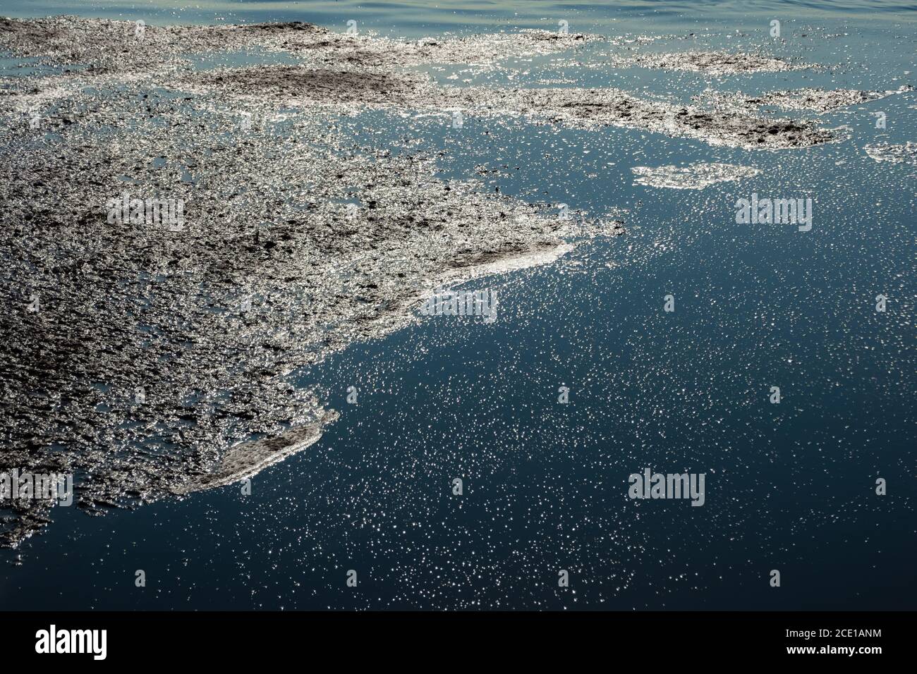 Des déchets sombres et odorants à la surface de l'eau. Pollution des océans, catastrophe environnementale. Personne Banque D'Images