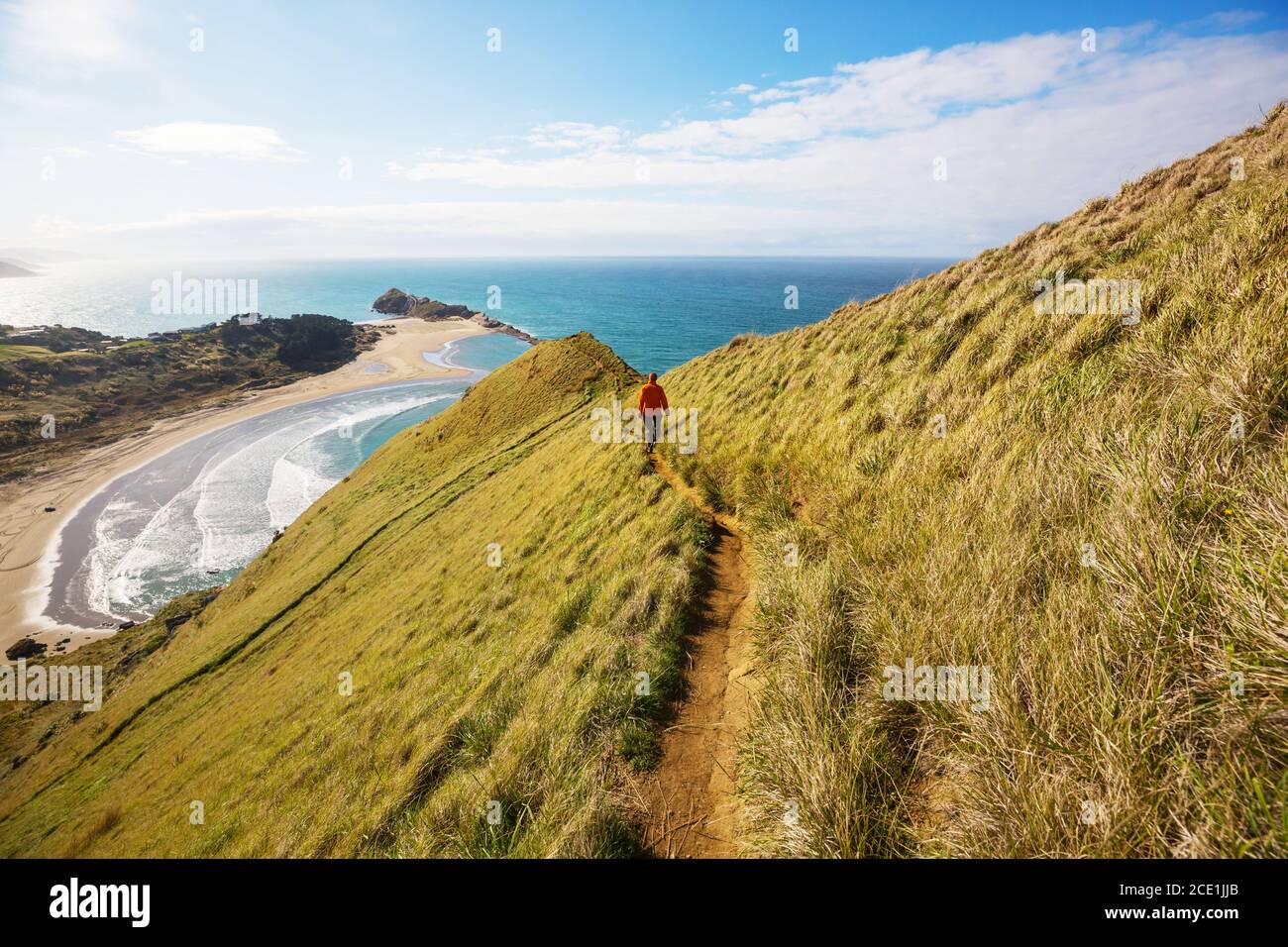 La côte de la Nouvelle-Zélande Banque D'Images