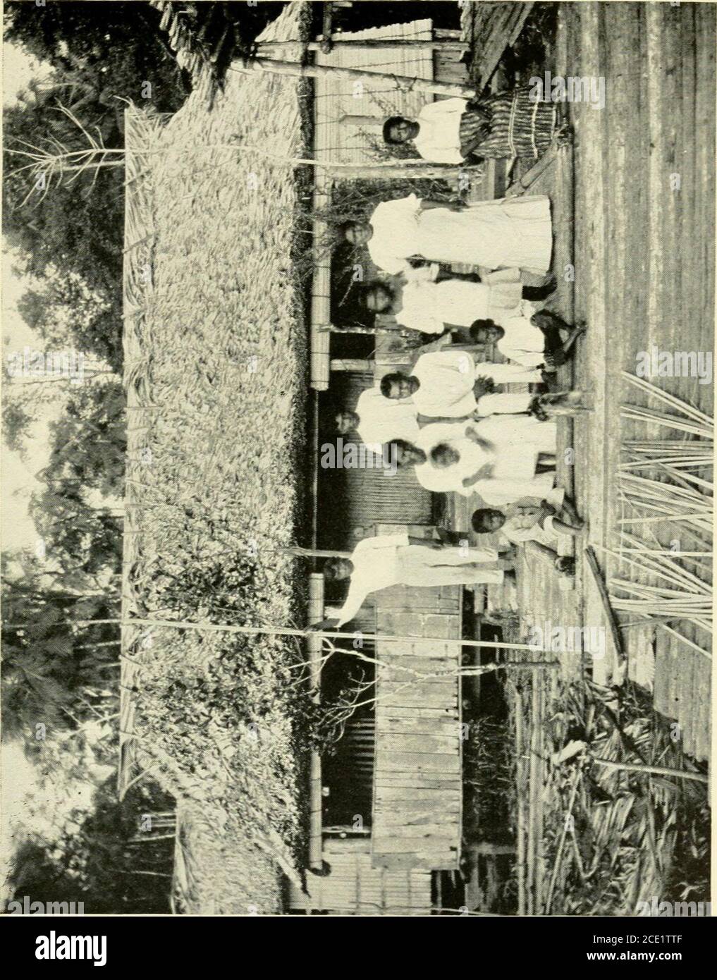 . La basse Amazonie, un récit des explorations dans les régions peu connues de l'état de Pará, sur la basse Amazonie . y les indigènes amazoniens, dont le type commun est une affaire modeste, ne contenant guère la moitié de tabac que berequait pour faire une cigarette. Mon propre tuyau bien-pro-portionné n'a jamais cessé de causer une grande sensation parmi la population indigène, de la thecapacité de la cuve de briar et le volume de la fumée qui en émet; en fait, ils compredit avec un defumador, qu'il est maintenant pour inspecter. C'est l'endroit où le lait de caoutchouc s'est coagulé dans la fumée de certains palmiers Banque D'Images
