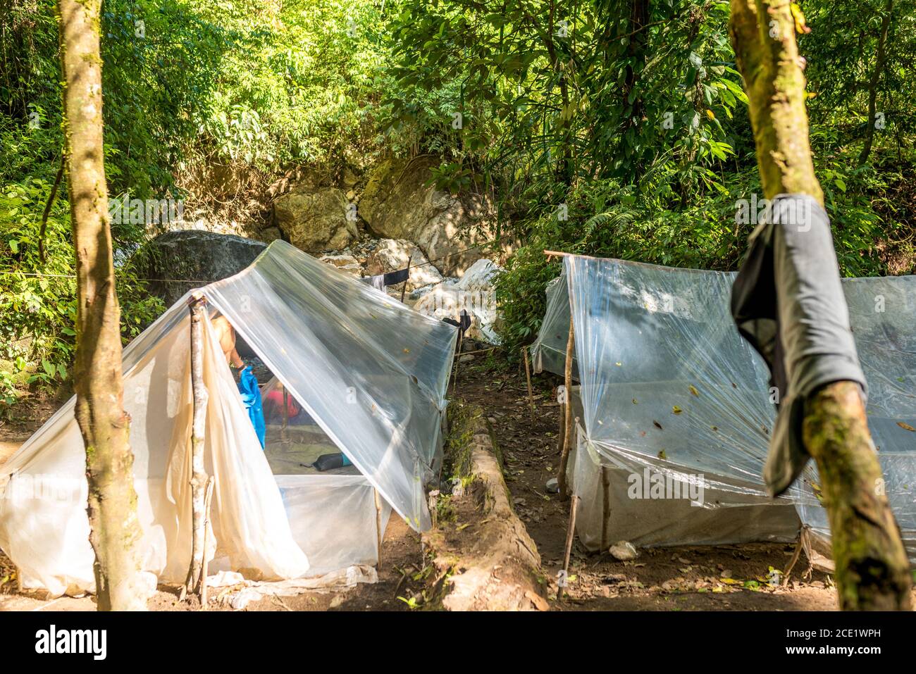 Deuxième camp près des sources chaudes du ruisseau Gurah Dans la jungle de Ketambe Banque D'Images