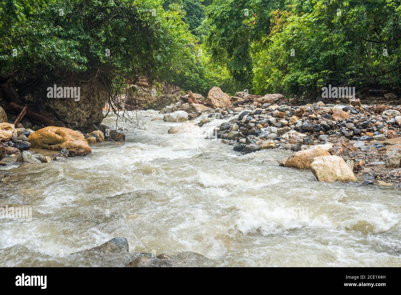 La rivière Gurah traverse le parc national de Gunung Leuser Banque D'Images