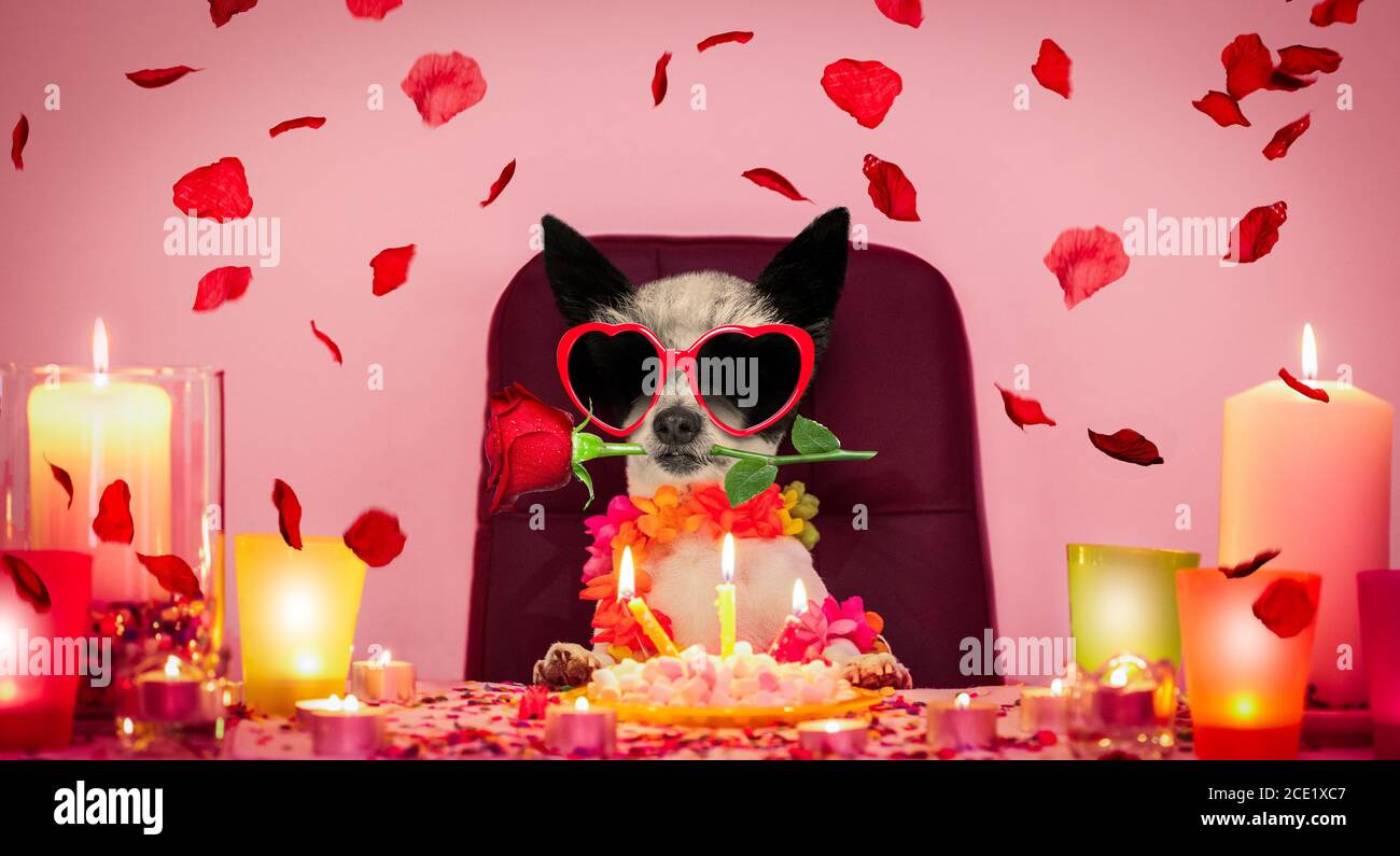 Chanson D Anniversaire Banque D Image Et Photos Alamy Chanson D Anniversaire Banque D Image Et Photos Alamy